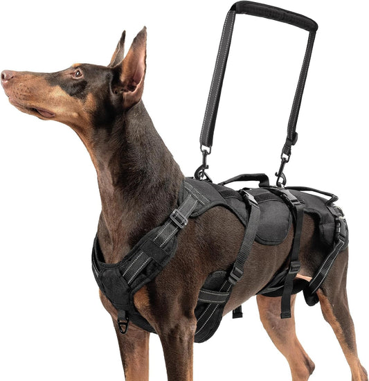 BINGPET Dog Lift Harness for Large Dogs,Full Body Support Rehabilitation Dog Sling Carrier with Handles,Reflective Multifunctional Mobility Assistance Vest for Senior Pets Joint Injuries,Arthritis,L
