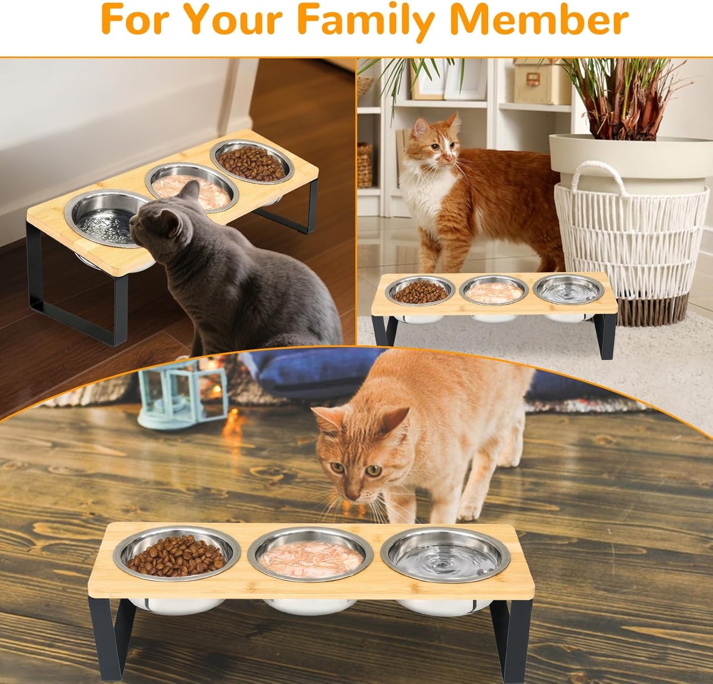 Elevated Cat Bowls with 3 Stainless Steel, 15° Tilted Raised Cat Bowl Set, for Indoor Cats for Small Cats and Puppies Pet Bowls with Stand