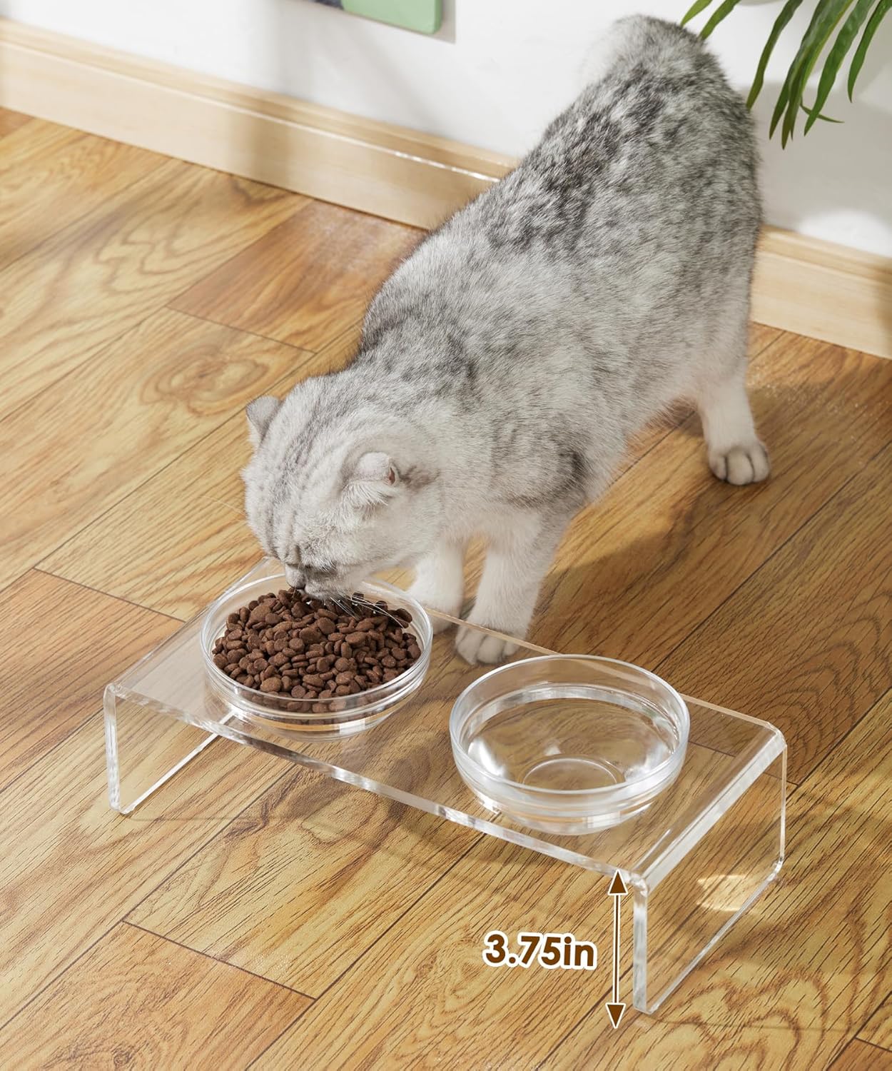 Replacement Glass Bowl for Feoyoho 3.75in Feeder Stand – Small, 13.7 oz / 1.7 Cups, Dishwasher & Microwave Safe