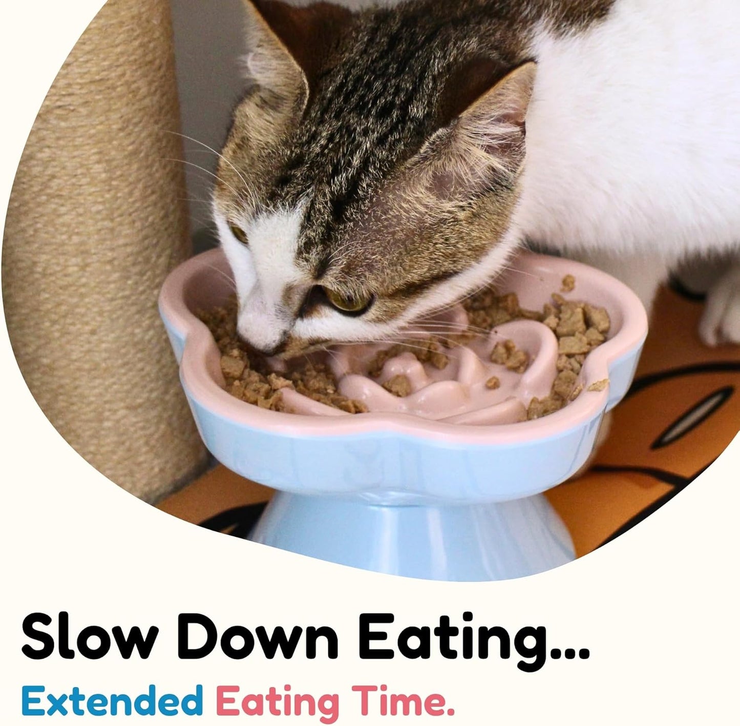 2Pc Raised Slow Feeder Cat Bowl, Melamine Elevated Cat Bowls - Heavy Weighted, Break Resistant, Tilted Slow Feeder Bowl for Cats and Small Dogs, Non-Slip, Dry & Wet Food, Whisker Friendly (Pink, 5.8"