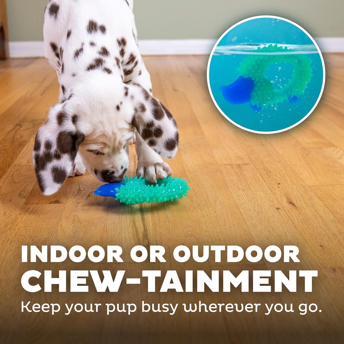 Pupstages Cutie Chewies Hedgehog Dental Dog Chew Toy — Multi-Textured, Massages Gums, Floats & Bounces for Teething Puppies & Small Dogs, 5" x 3.5" x 1"