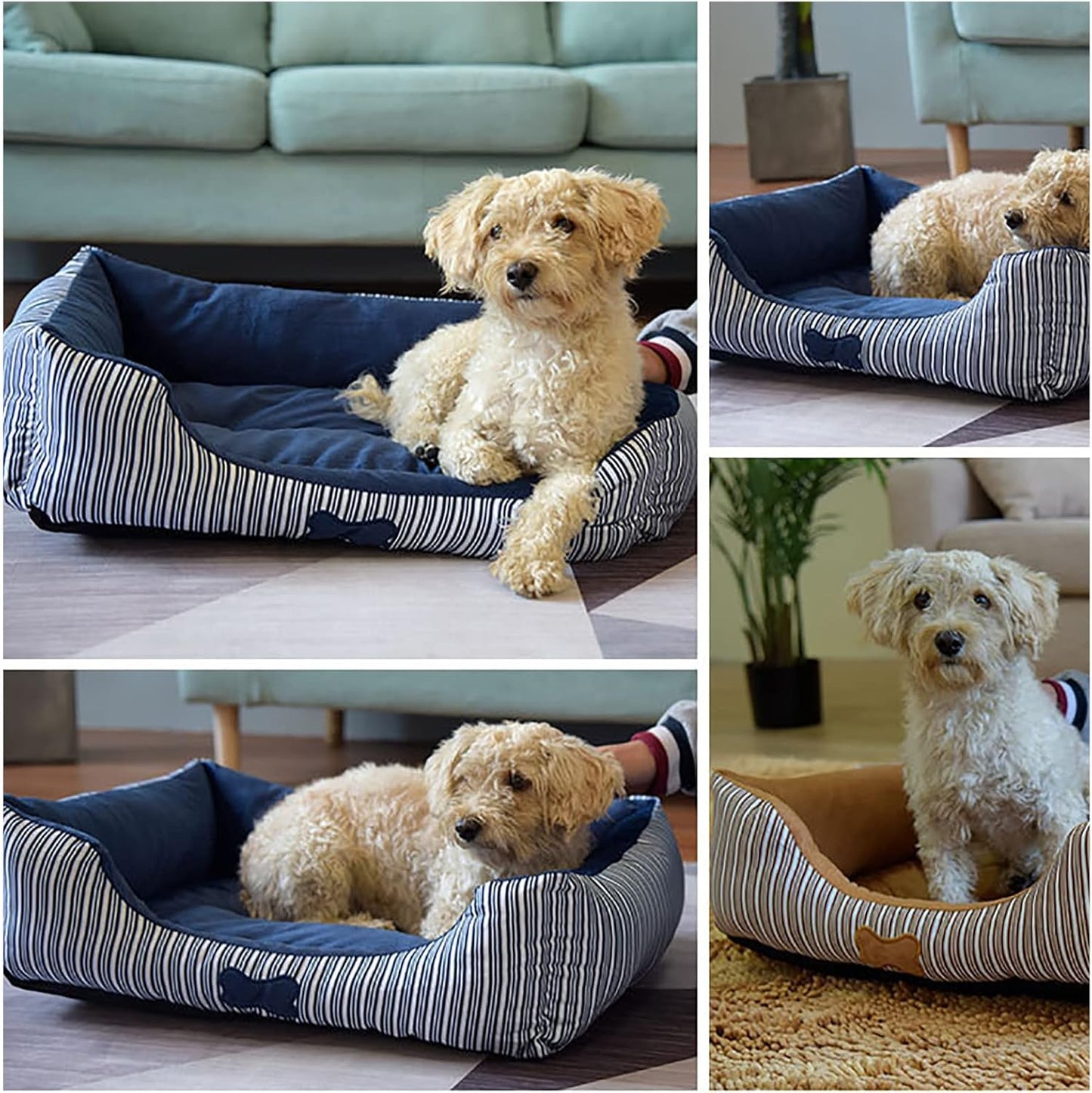 Pet Dog Bed for Dogs Dog Beds Pet Bed Dog Sofa Bed for Comfortable Sleep Machine Washable for Medium and Large Dogs Puppy Bed,Blue,M