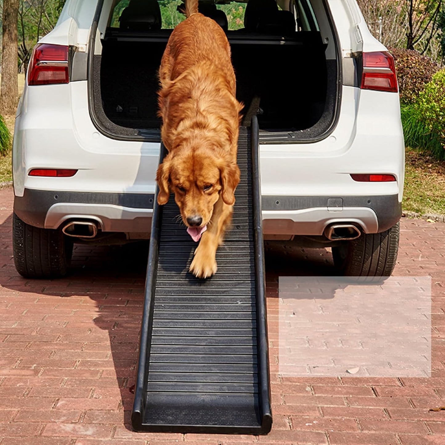 Portable Dog Ramp,Folding Dog Ramp,Non-slip Design,Easy Storage,Durable Professional