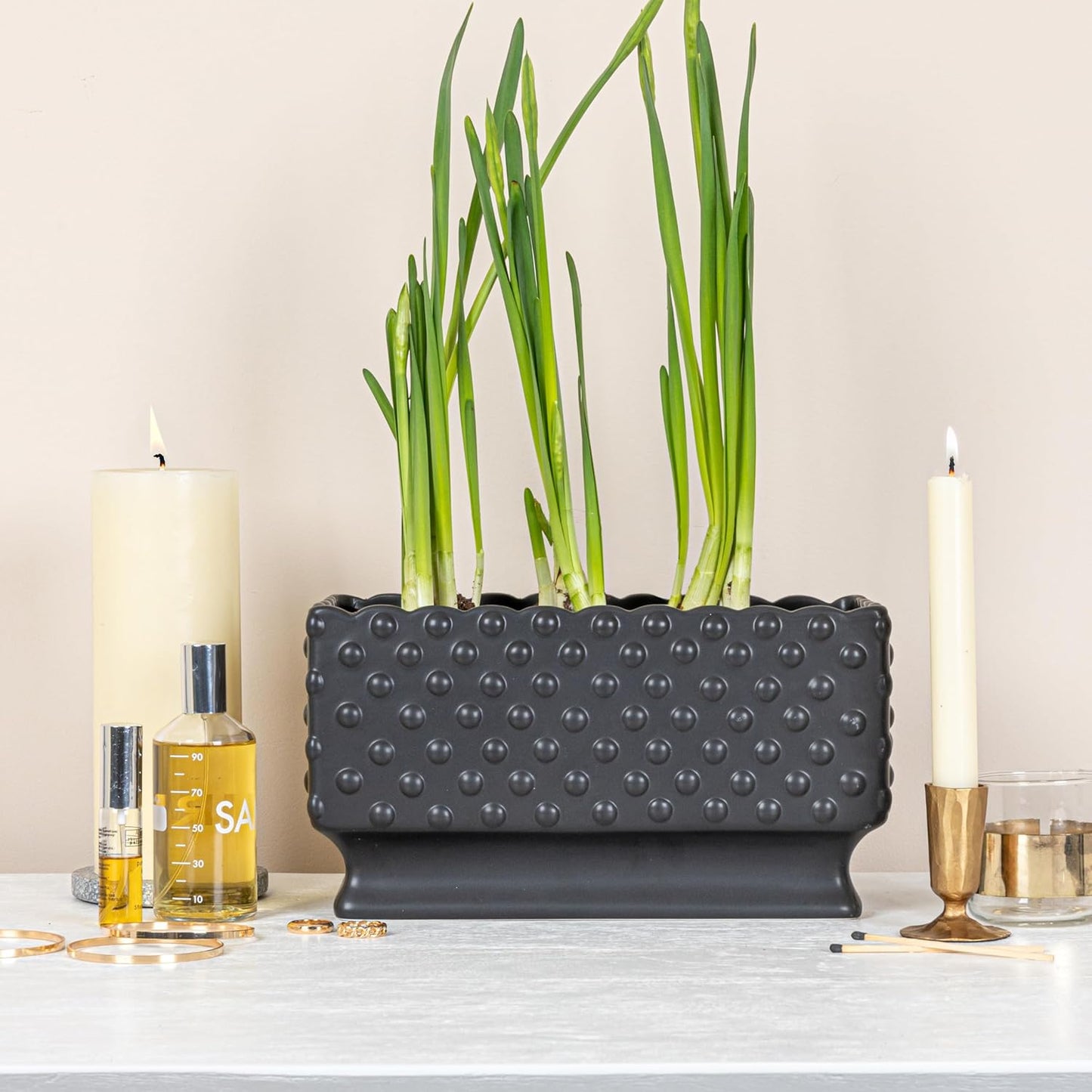 Creative Co-Op Ceramic Hobnail Planter with Scalloped Edge and Polka Dots, Black