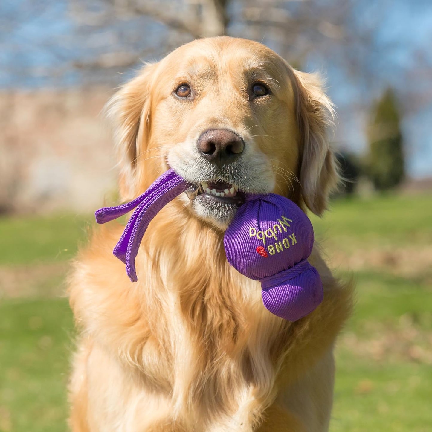 KONG Wubba - Dog Toy for Tug of War & Fetch - Dog Supplies for Puppy & Dog Playtime - Outdoor & Indoor Dog Toy - for XL Dogs - Randomly Provided Color