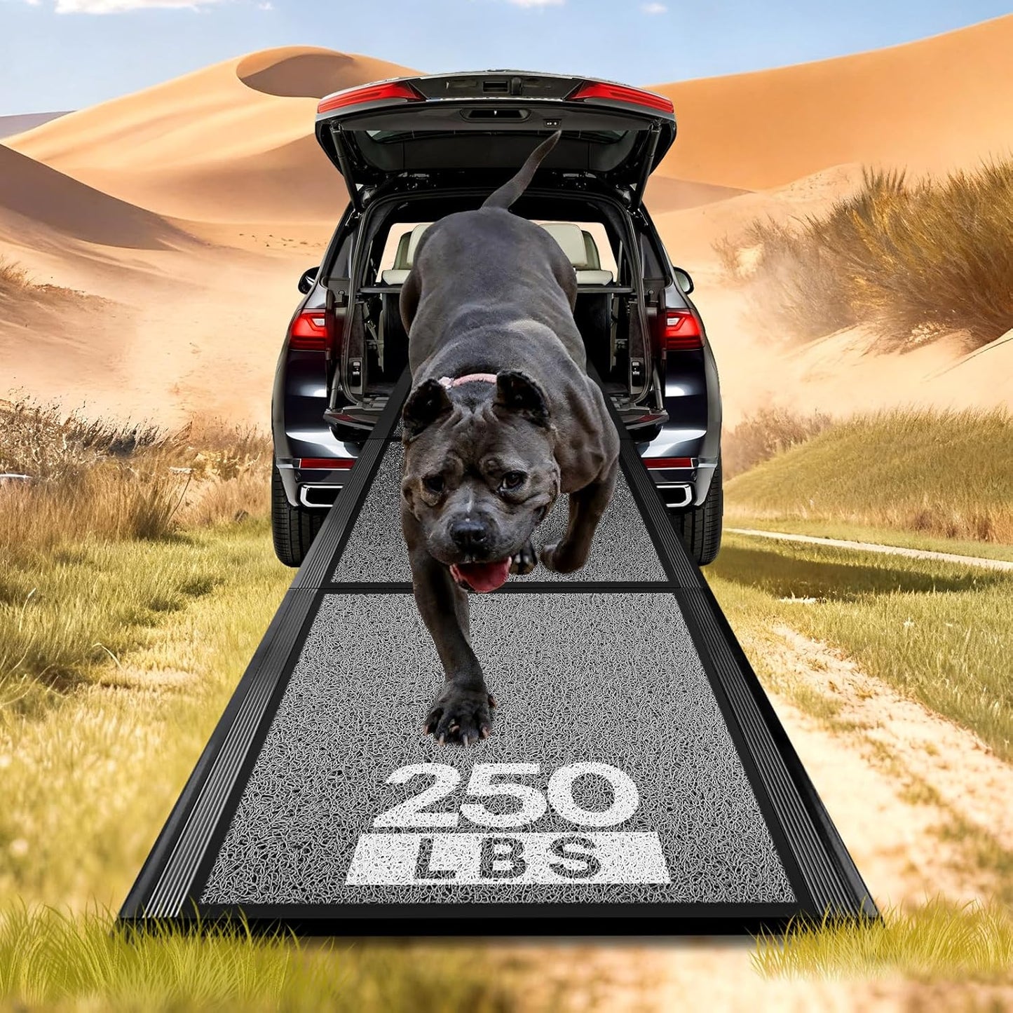 Dog Ramp for Truck, 67" Long 17" Wide Dog Ramp for Large Dog - Heavy Duty Up to 250LBS Capacity Pet Stair with Non-Slip Surface, Folding Portable Aluminum Pet Ramp for Outdoor, Trucks & SUV