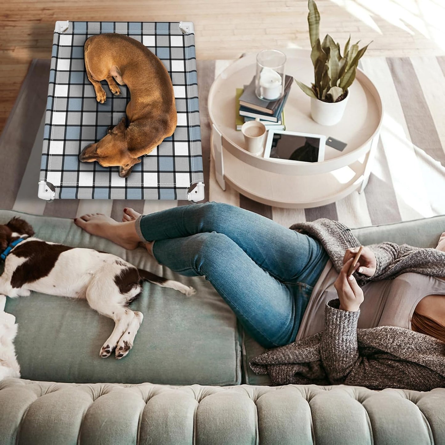 Elevated Outdoor Raised Dog Bed Outdoor Dogs Bed Lifted Pet Bed Dog Cot for Medium Pet Taste Life, Start with A Pet Bed 34'' x 26'' x 6.5''