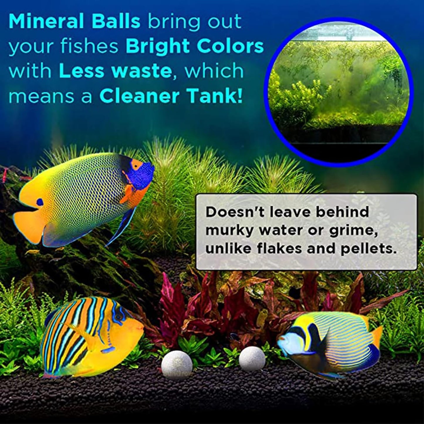 SunGrow Betta Balls, Water Conditioner with Over 30 Beneficial Elements for Tropical Fish, Freshwater Fish Tank pH Balance Decor, 0.3” Betta Fish Tank Accessories, 10 Pcs per Pack