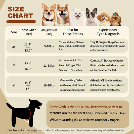 Escape-Proof Small Dog Harness - No-Choke Step-in Mesh Vest with 360° Reflective Strips, Soft Padded Breathable Harness for Anxious Dogs, Puppies & Active Breeds, Fits Corgi, Pug, Frenchie S
