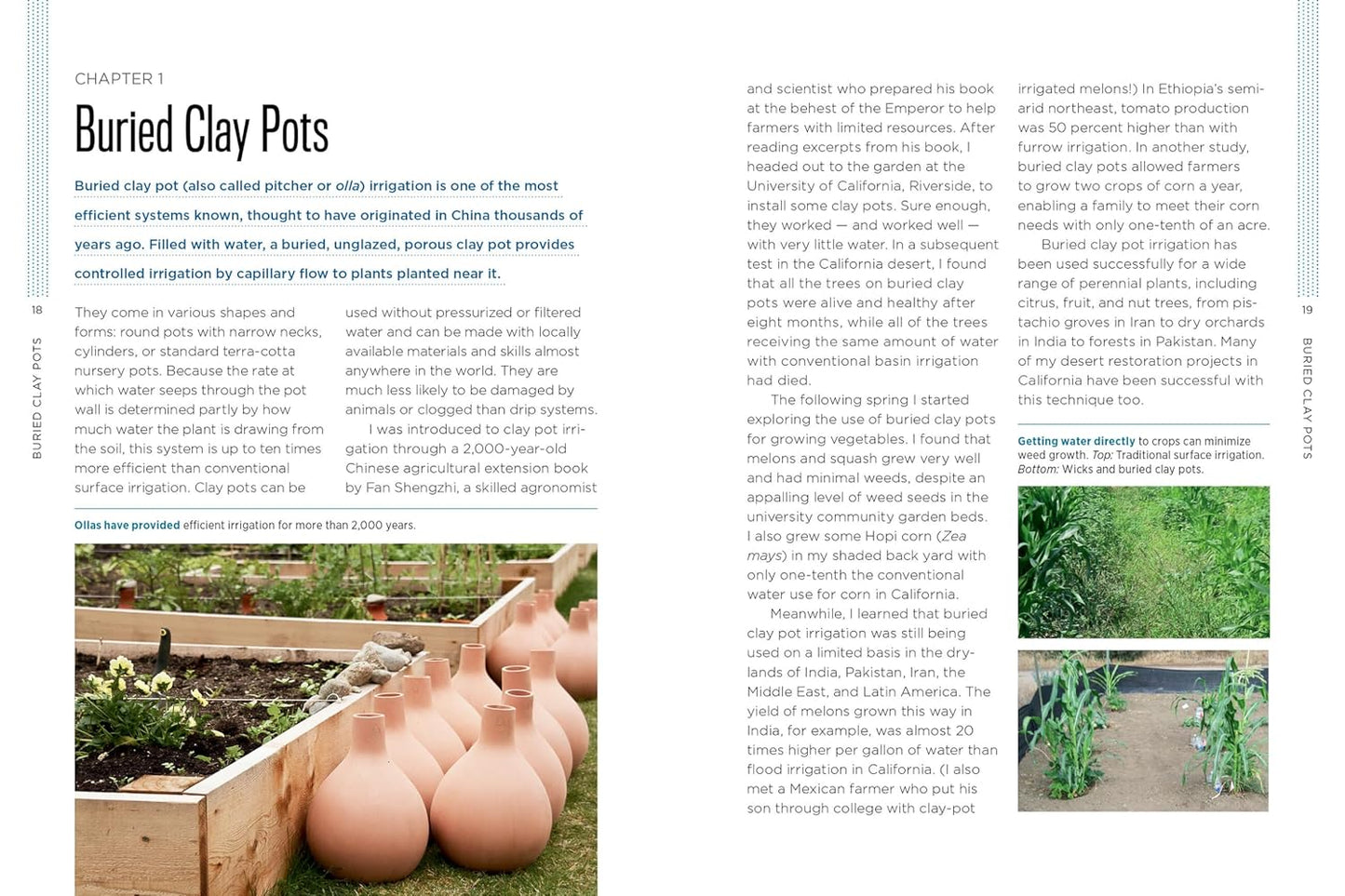 Gardening with Less Water: Low-Tech, Low-Cost Techniques; Use up to 90% Less Water in Your Garden