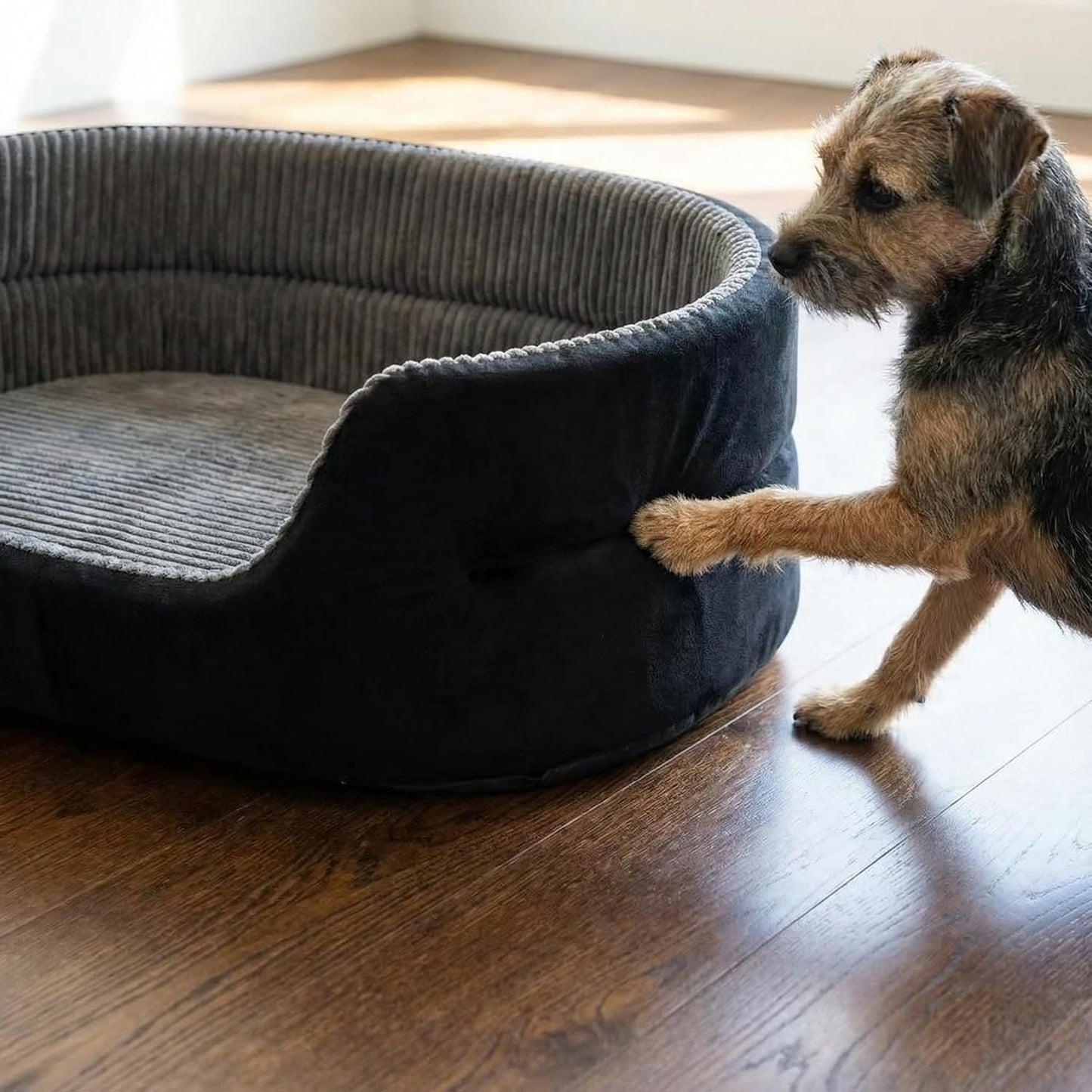 Large Dog Bed Cat Bed 20x30 Inch, Calming Pet Bed for Medium Dogs & Large Cats, Half-Enclosed Open-Top Velvet Anti-Anxiety Bed, Machine Washable Cozy Snuggle Bed (Black)
