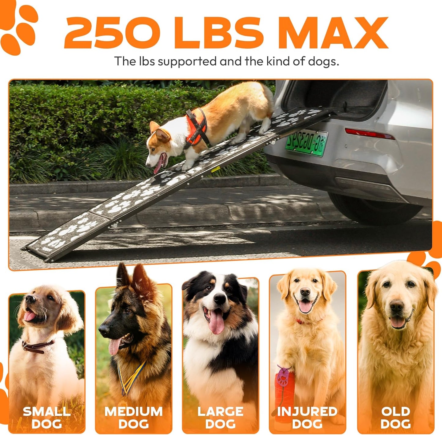 Dog Ramp for Car, Portable Folding Aluminum Pet Ramp with Non-Slip Paw Print Surface. Extra Wide Portable Ramp for Large, Small & Senior Dogs to Get in Cars, SUVs, Trucks & Beds, 71" Long & 17" Wide