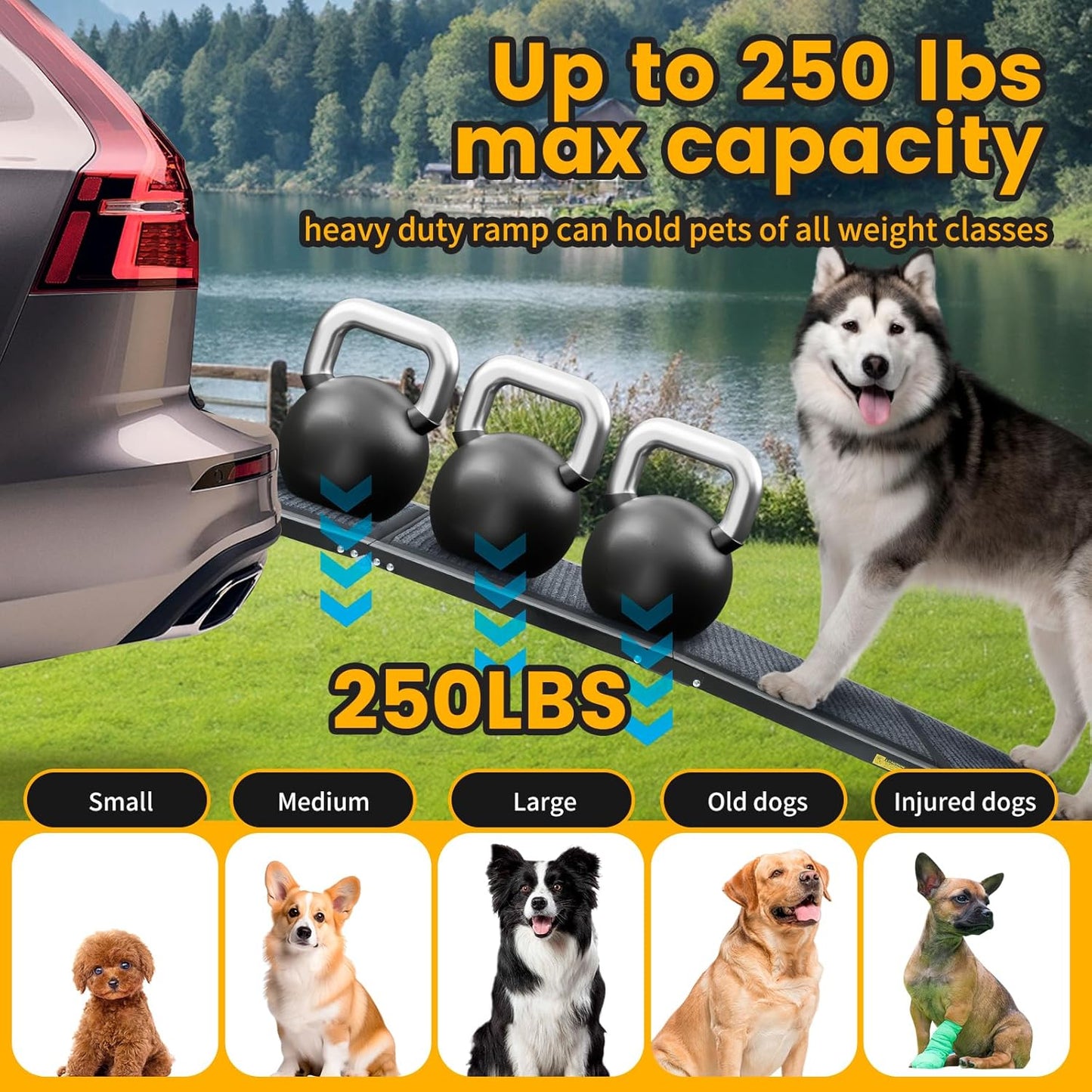 PawStep 63” x 17” Foldable Aluminum Dog Ramp – 63-Inch Length for Standard Cars & SUVs, 250 lb Capacity, Lightweight Four-Fold Portable Pet Ramp (51014)