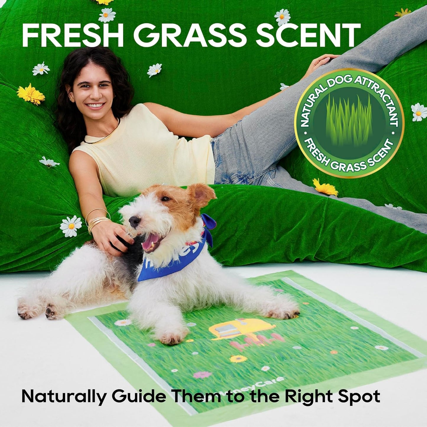 HoneyCare Fresh Grass Print/Scent All Absorb XL Training Pads, 26x30, 40 Ct