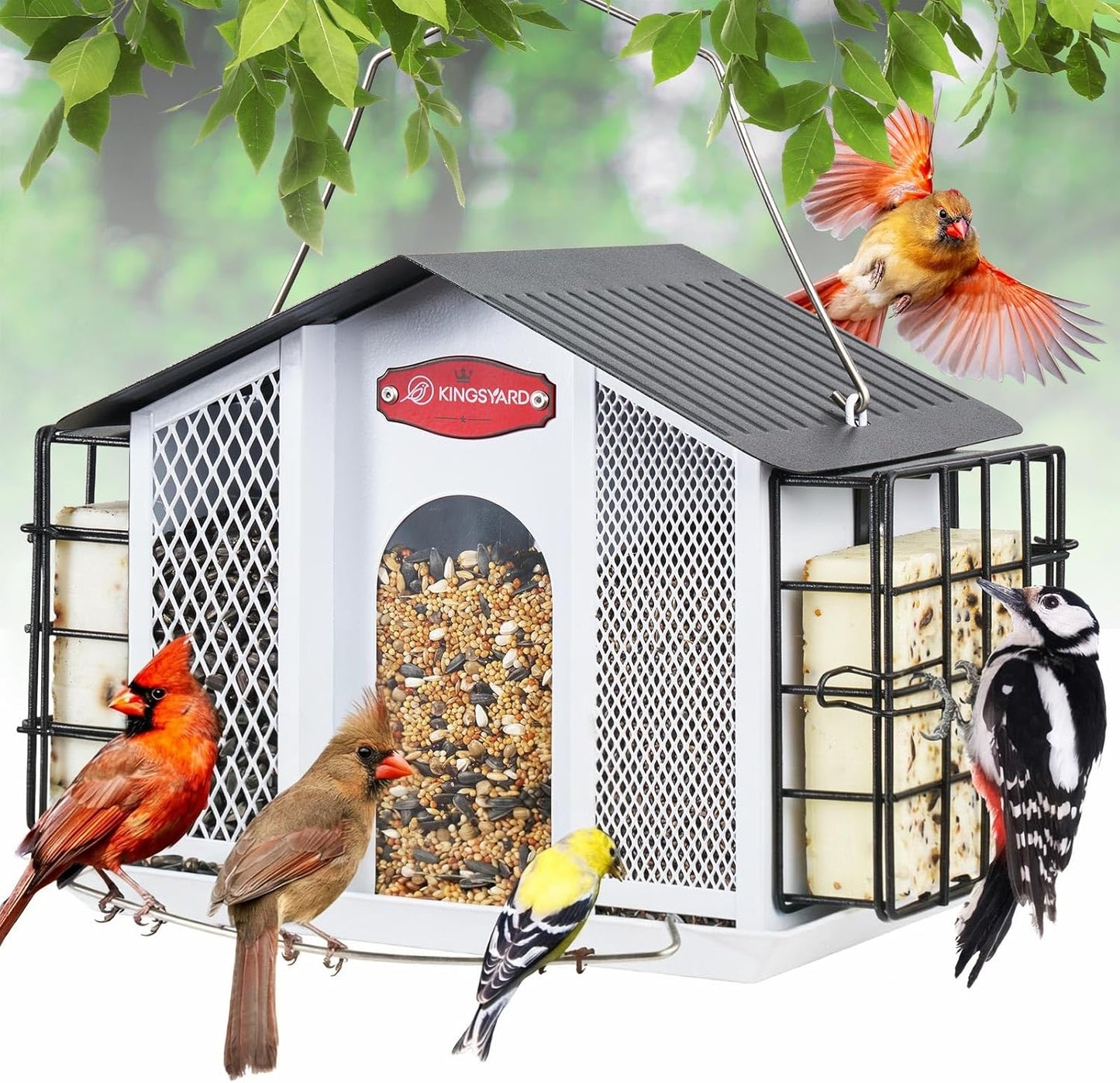Kingsyard Large Metal Bird Feeders for Outdoors Hanging with Weatherproof Roof, 4 in 1 Removable Double Suet Feeder for Woodpecker, 4 Lbs Capacity for Cardinal Finch Chickadee, White