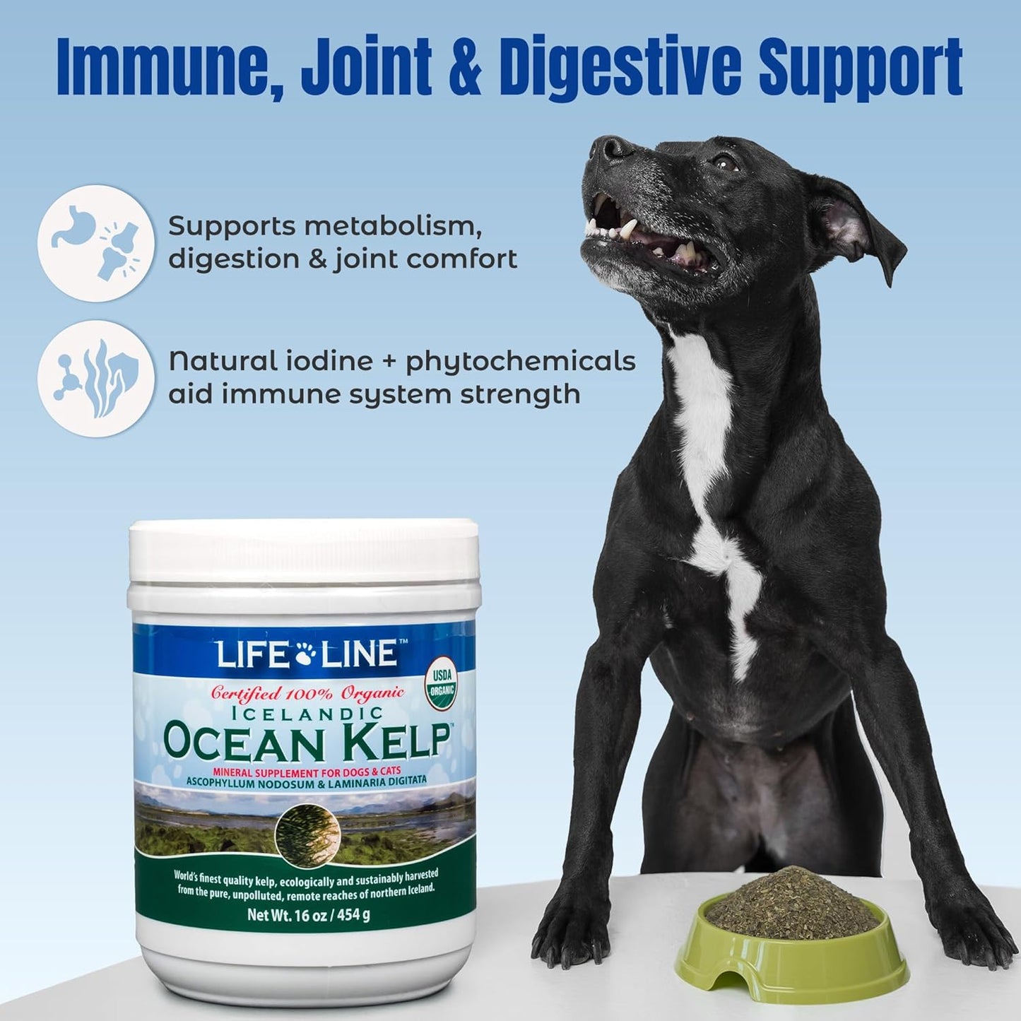 Life Line USDA Certified Organic Ocean Kelp for Pets & Livestock | Supports Skin & Coat Health, Immune Function, and Dental Hygiene | Promotes Metabolism & Reduces Plaque and Shedding – 16 oz