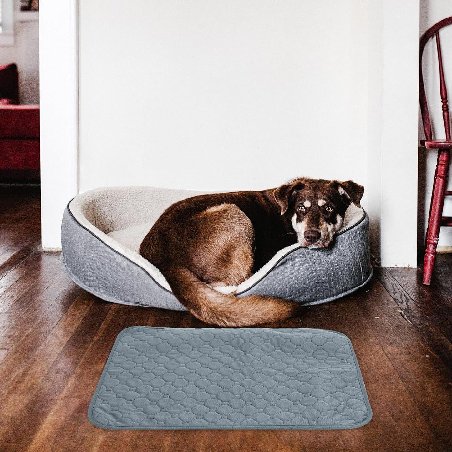 Pet Cooling Mat and Dog Urine Pad, Multipurpose Anti-Slip Absorbent Washable Cushion, Small Size for Indoor Summer Use