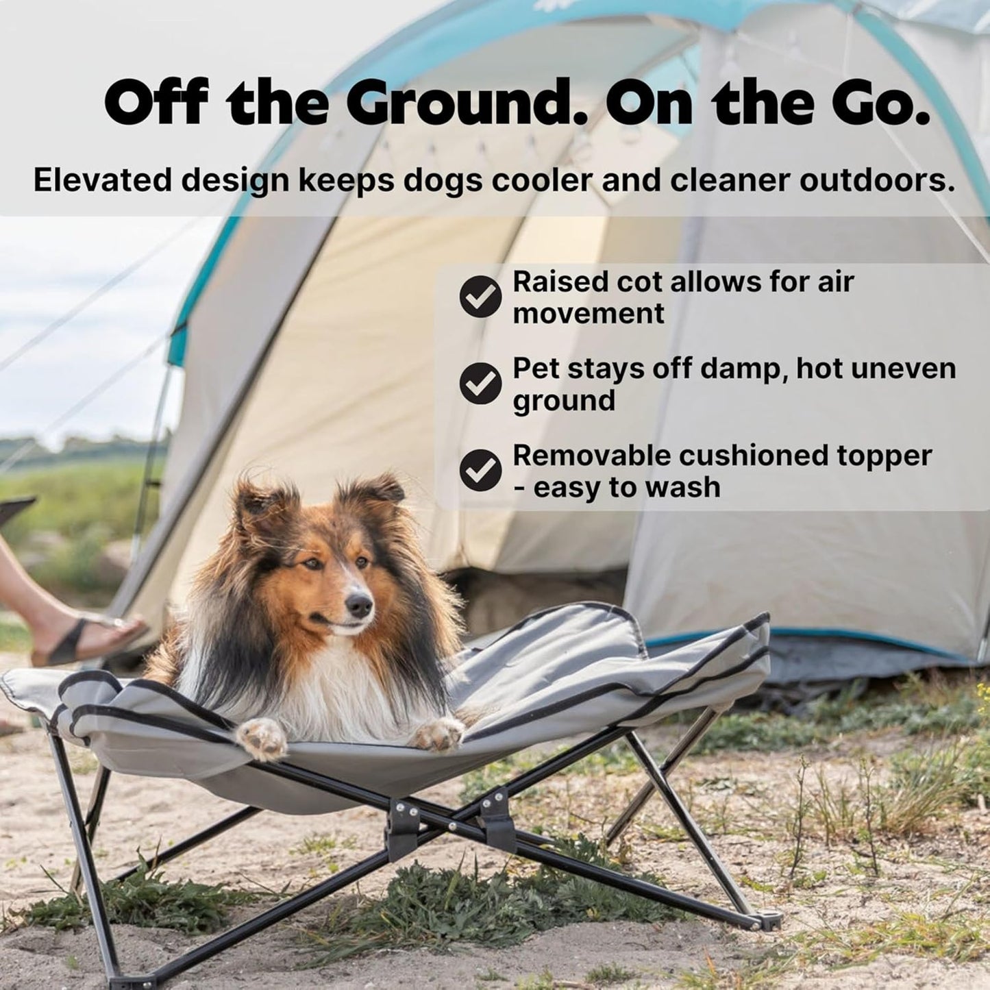 TRIXIE Camping Cot for Medium Dogs, Elevated Pet Travel Bed 34.6" x 34.6", Support Breeds up to 80 lbs, Portable Steel Frame Lounger with Cushioned Removable Topper, Foldable Design