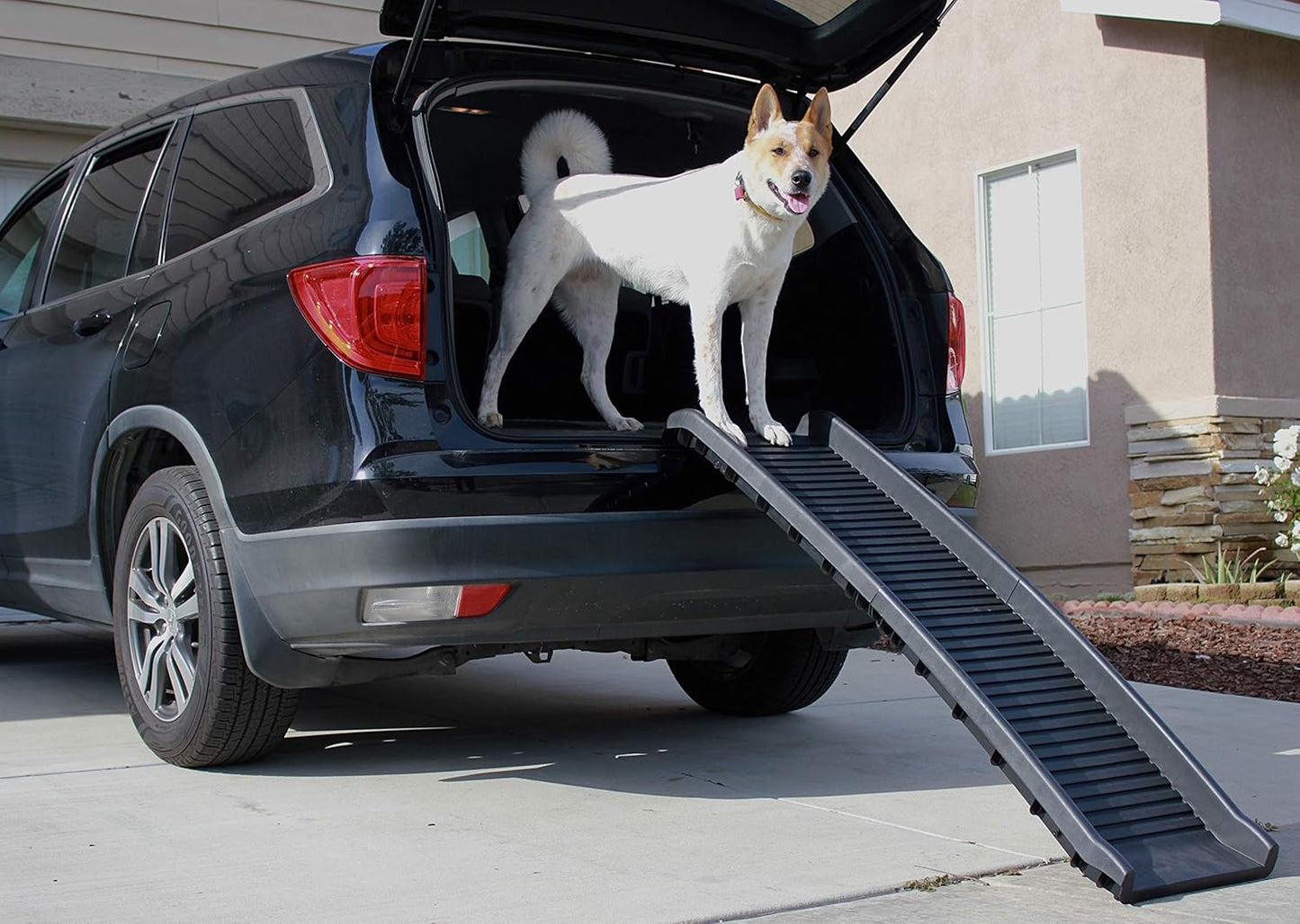 PawStep Folding Pet Ramp for Dogs & Cats, Portable Dog Ramp for Cars, SUVs, Beds & Couches – Lightweight Non-Slip Pet Ramp for Small, Medium & Large Pets – 50524