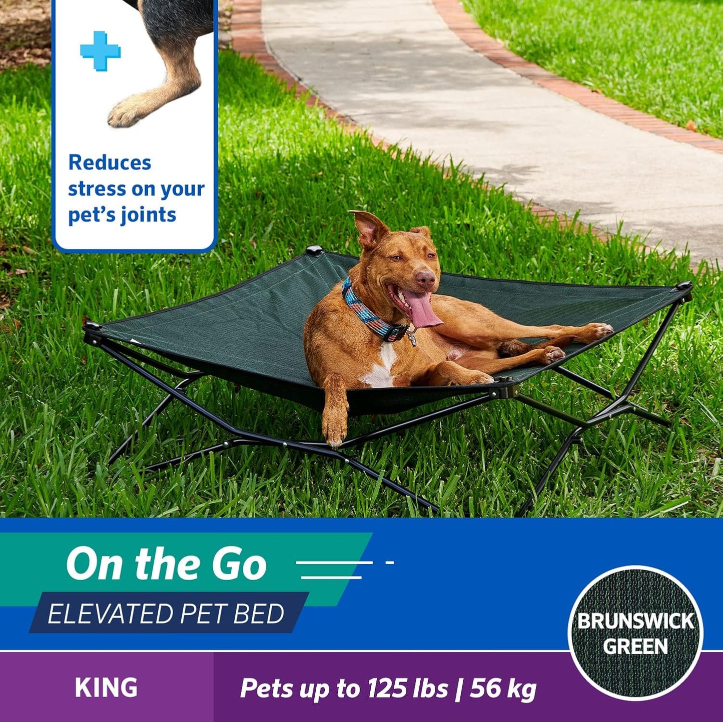 Coolaroo On-The-Go Elevated Dog Bed - Foldable Pop-Up Travel Dog Bed with Breathable, Moisture-Resistant Fabric, Carry Bag Included, Lightweight & Portable, Brunswick Green, Extra Large