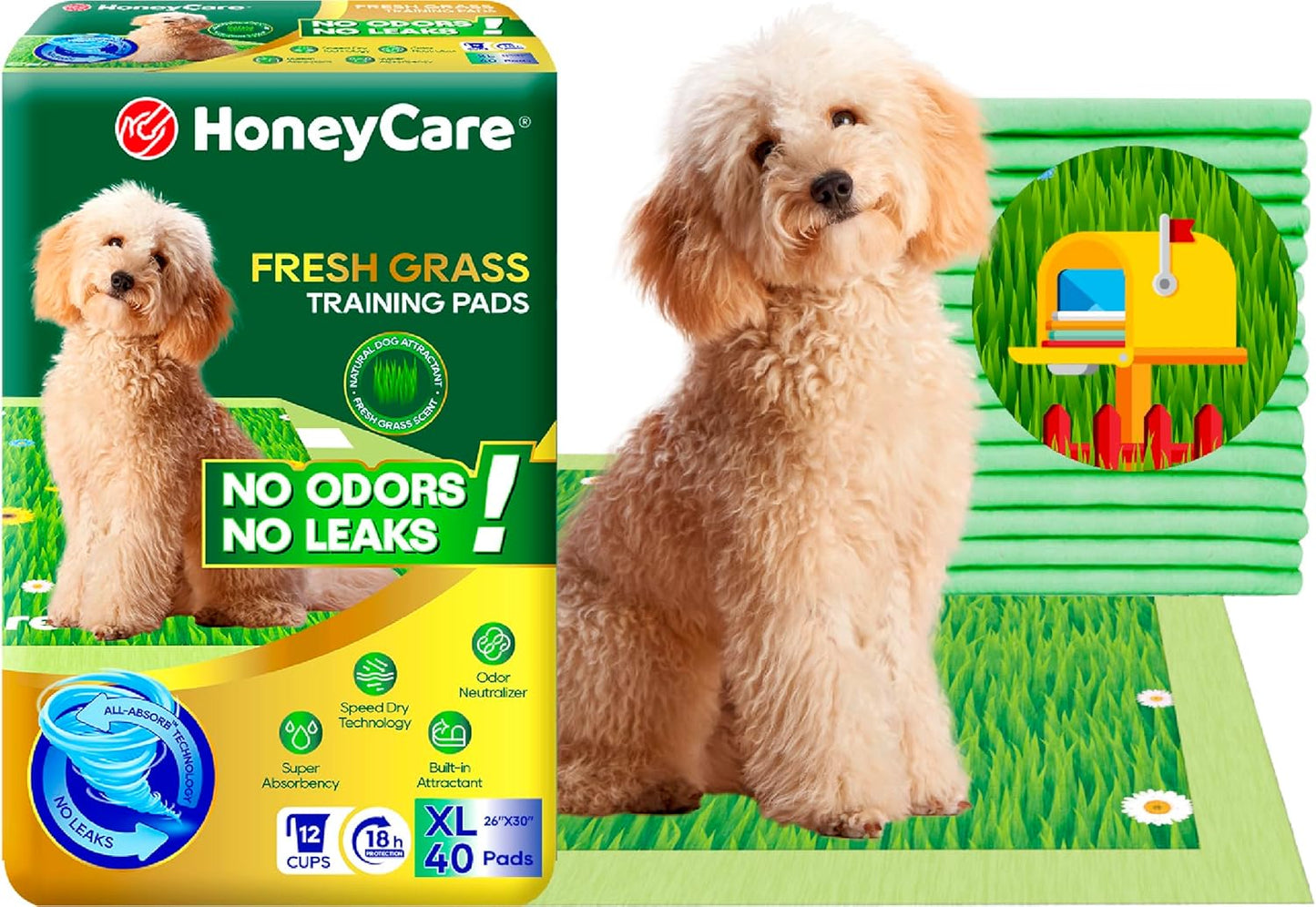 HoneyCare Fresh Grass Print/Scent All Absorb XL Training Pads, 26x30, 40 Ct