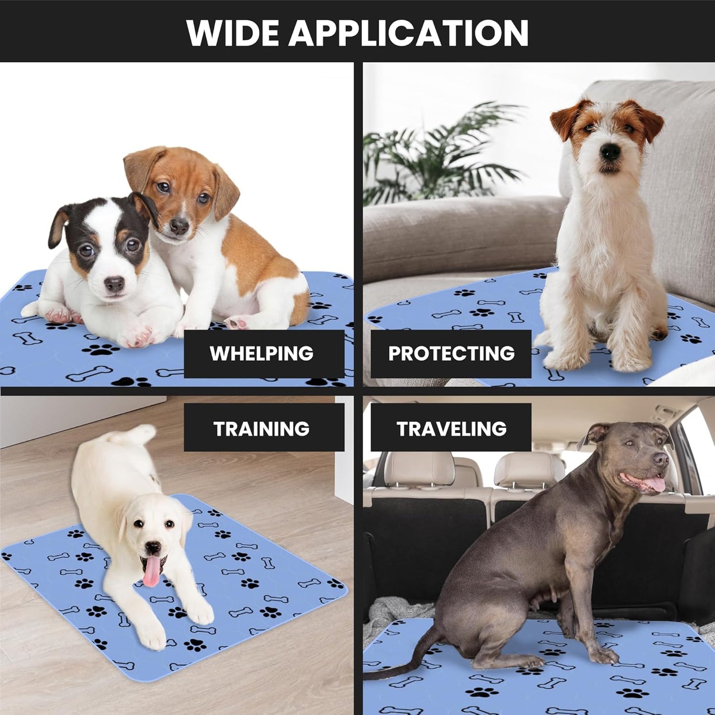 Buddy's Best Washable Pee Pads for Dogs - Medium (36"x41") - Ultra-Absorbent, Non-Slip, Ideal for Larger Areas, Training, Incontinence - (2-Pack) + Bonus Grooming Glove