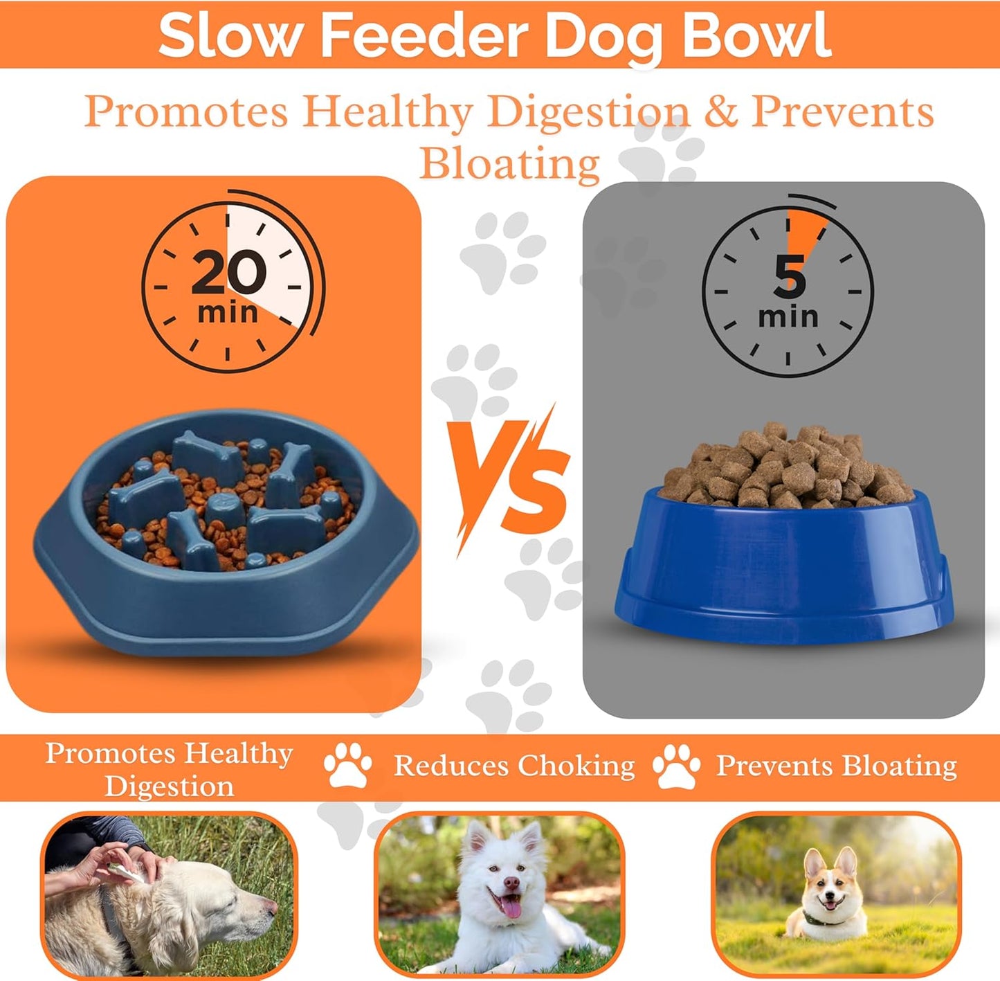 2 PCS Slow Feeder Dog Food Bowl – Bowl Designed to Slow Eating, Promotes Healthy Digestion and Prevents Bloat, Ideal for Cats and Dogs (SkyBlue-Yellow)