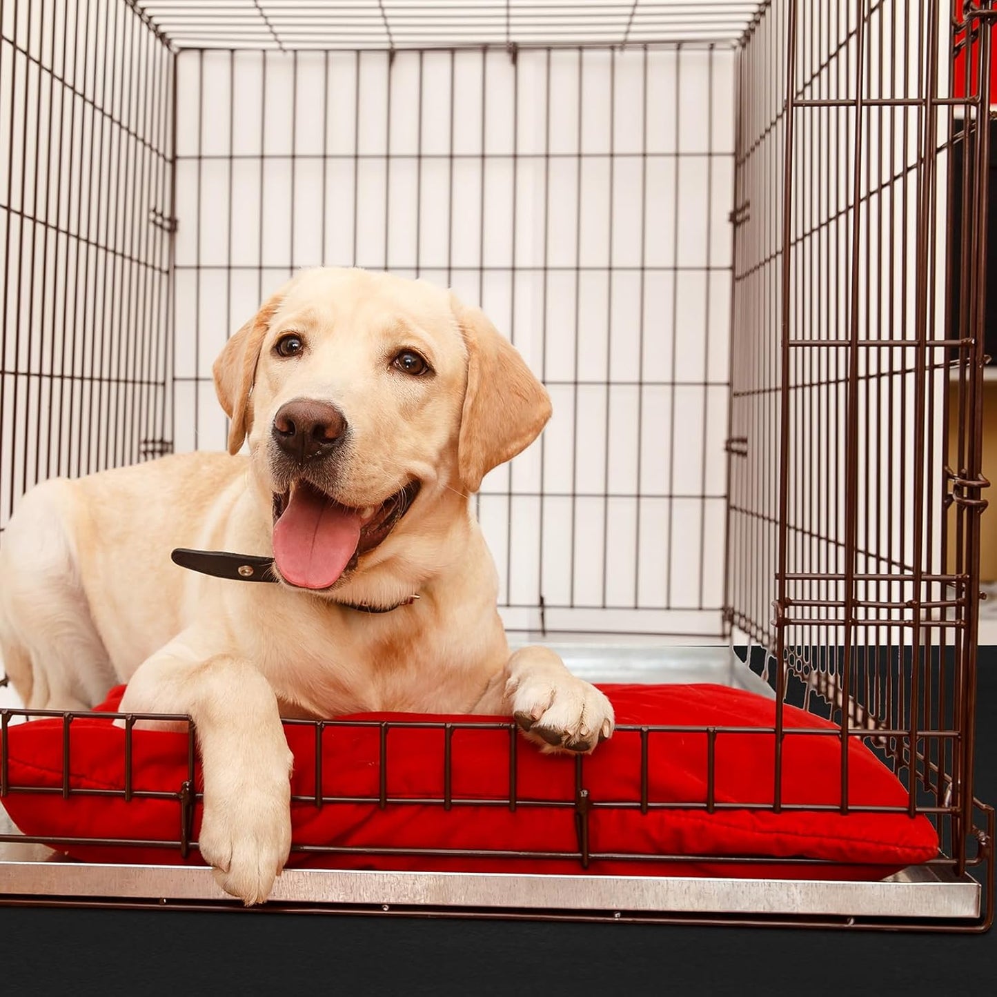 PVC Pet Crate Floor Protection Mat 32" x 50" XXL Washable Floor Covering Reusable Waterproof Non Slip Rug Whelping Pad for Pet