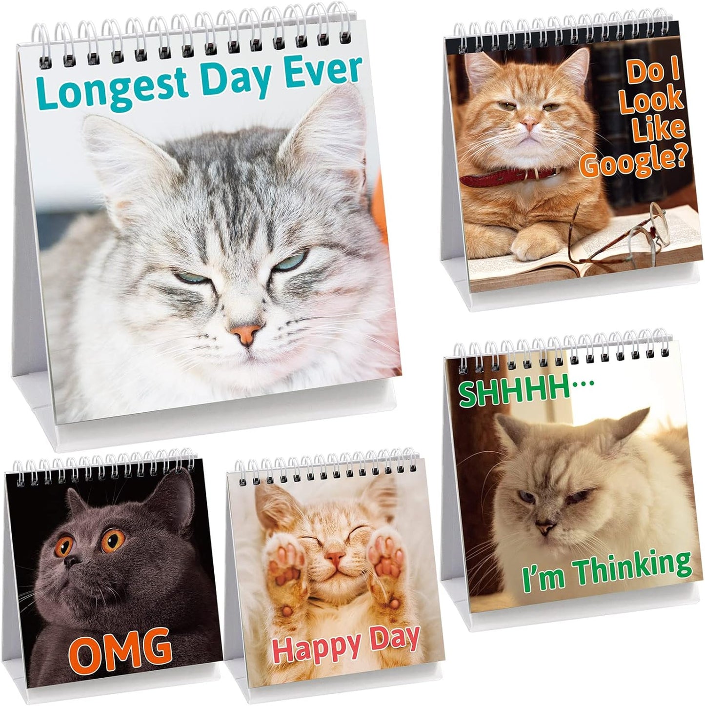 Fancy Land Funny Desk Signs for Kitten Lovers 30 Different Fun and Flip-Over Messages for Office Desk Accessories