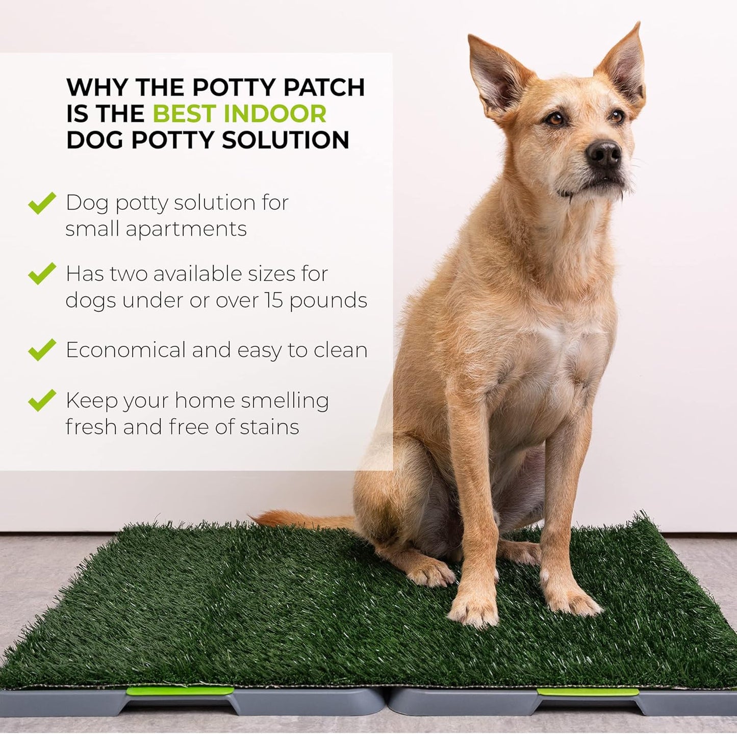 Potty Patch Dog Grass Pad Fake Grass for Dogs to Pee on, Indoor Dog Potty for Dogs Over 15lbs, Grass Pee Pads for Dogs with Tray, Replaces Disposable Puppy Pads (Large), Green, Large: 34" x 27"