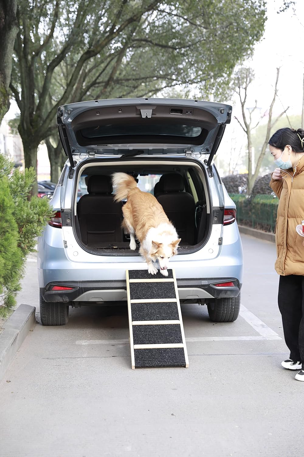 Tall Adjustable Pet Ramp, Folding Portable Wooden Dog Cat Ramp, Non-Slip Paw Traction Surface Dog Step Compatible with Car, SUV, Couch, Adjustable Height from 9.3" to 24,Queen Bed