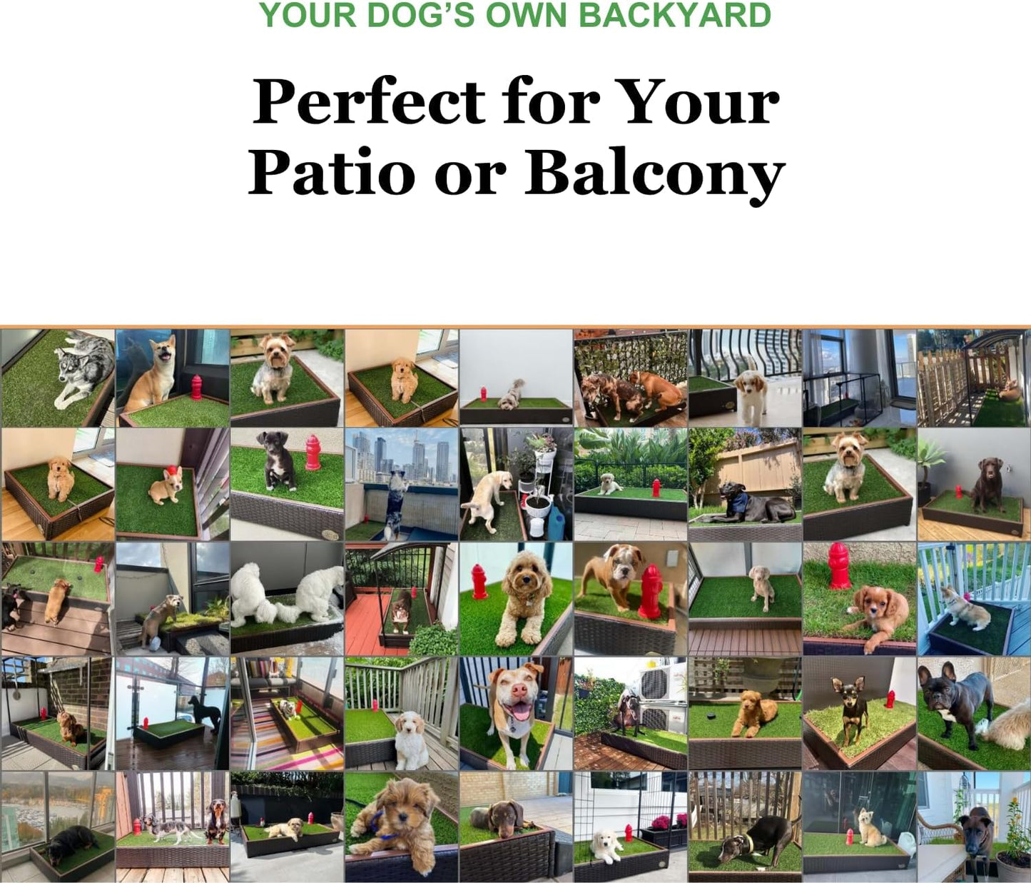 Porch Potty Artificial Grass Potty Pads for Dogs - Small Size 16x16x6 Reusable Potty Training Pad - Washable Pee Pads for Dogs - Unique Design - Instant Drainage -Quick Absorb - 2x2 Feet Grass Size