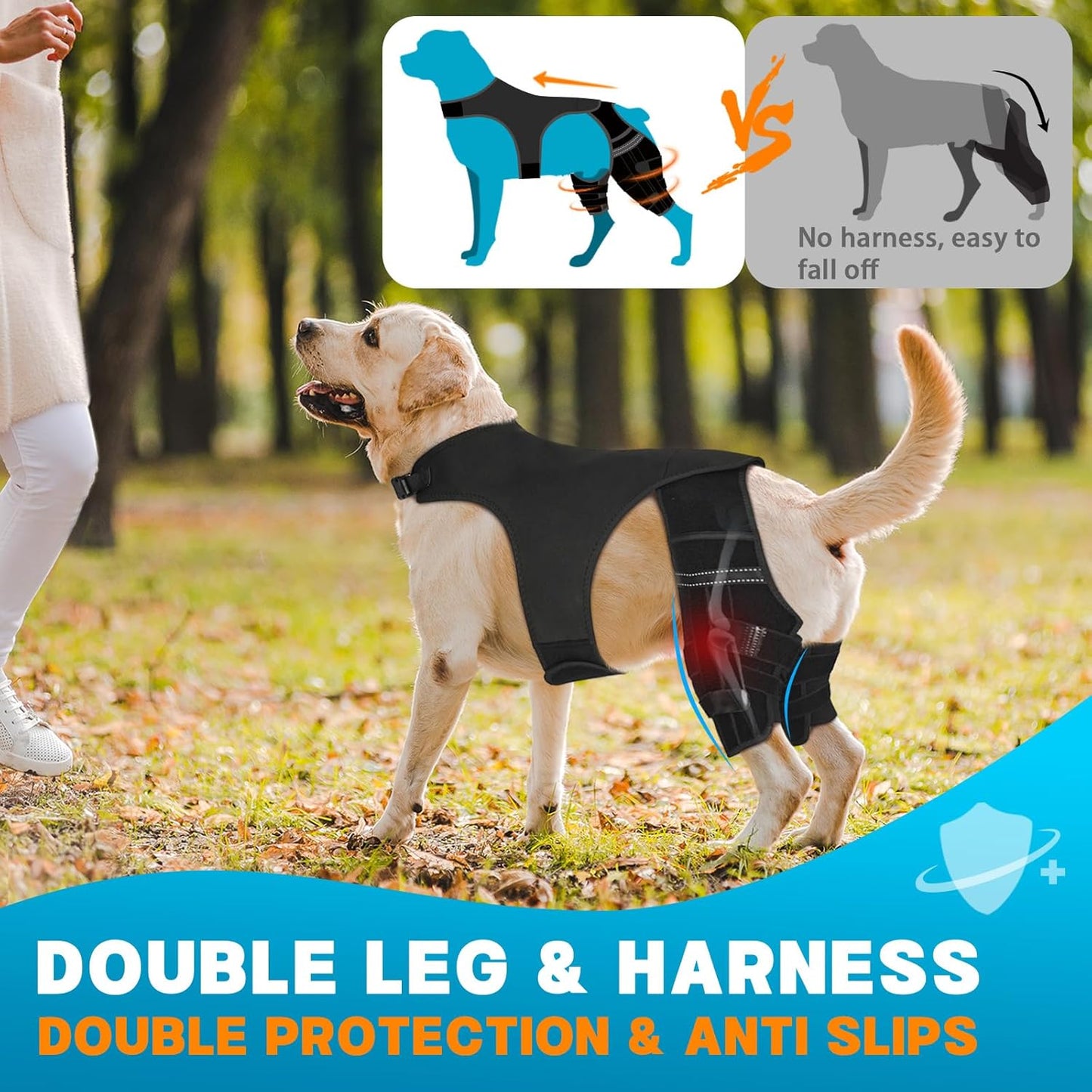 Dog Leg Braces for Back Leg, Adjustable Dog Knee Brace for Torn Acl Hind Leg with 4 Stabilizers, Hip Support to Reduces Pain, Ligament Injuries, Luxating Patella, S