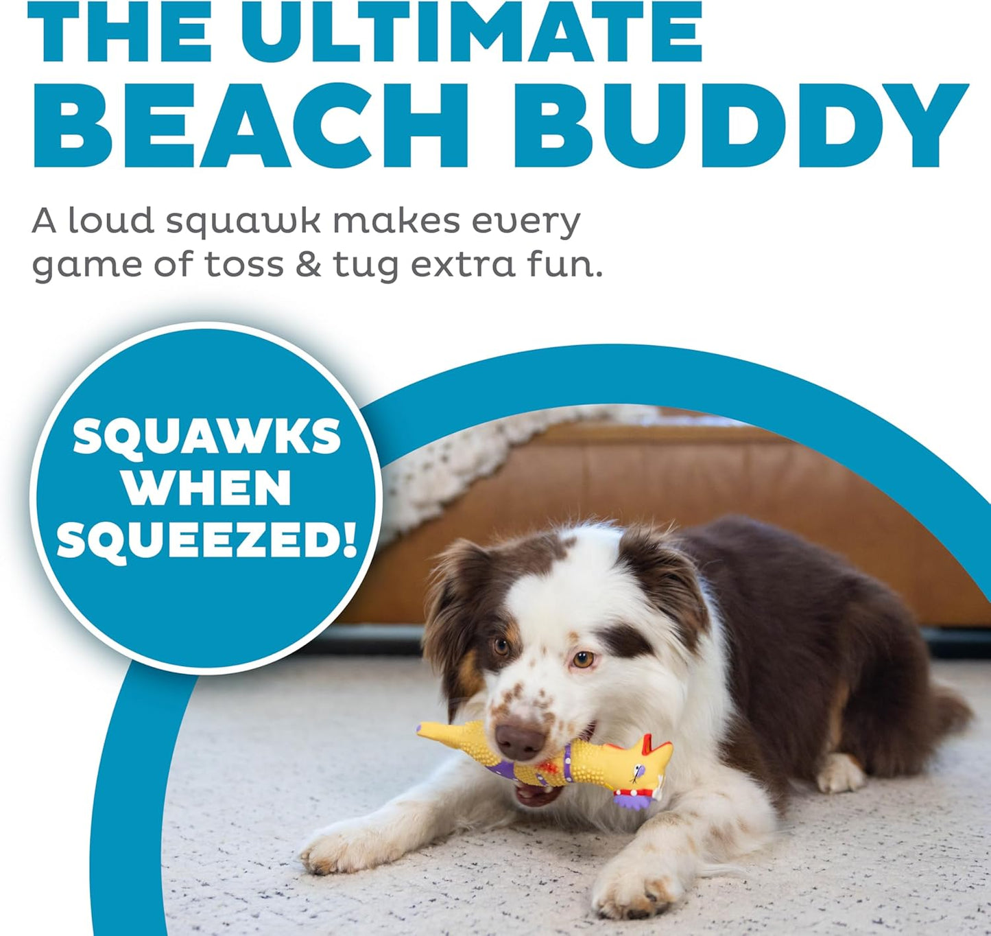 Outward Hound by Charming Pet Squawkers Henrietta Latex Squeaky Rubber Chicken Dog Toy, Funny Interactive Holiday Toy for Dogs, Small Size