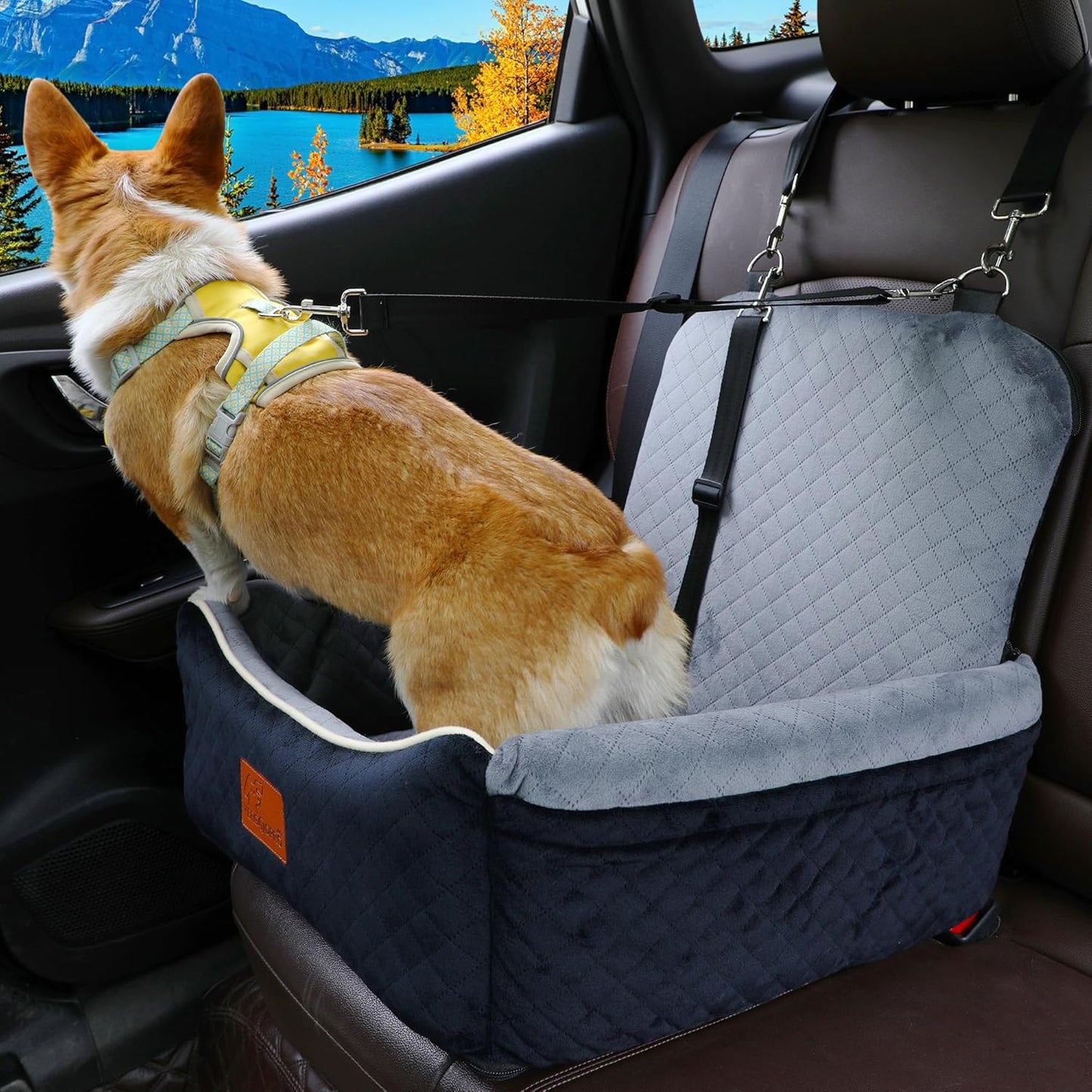 강아지 카시트 침대 2 in 1 최대 15.9kg(35파운드)의 소형/중형견용, 조절 가능한 안전 목줄, 부드러운 원단의 반려동물 여행용 자동차 침대가 있는 메모리 폼, 앞좌석과 뒷좌석에 쉽게 설치, 탈착식 및 세탁 가능.