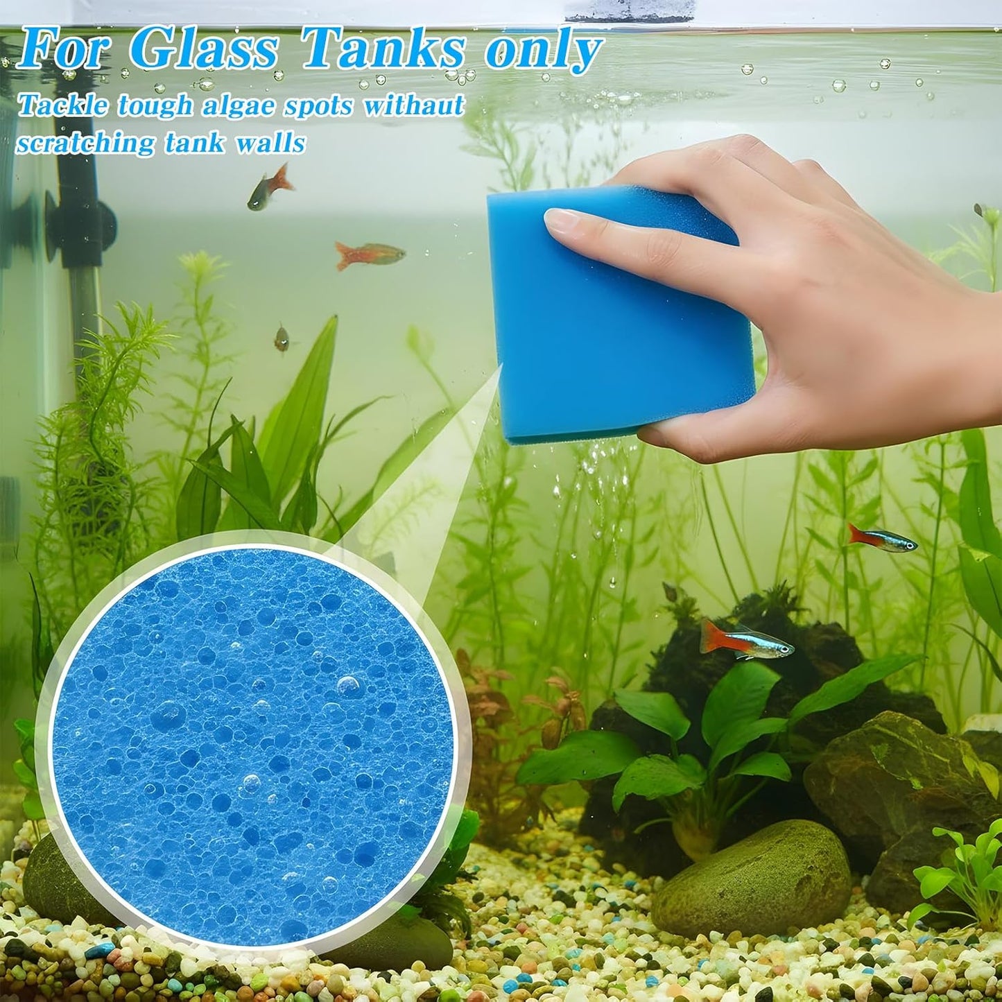 6PCS Aquarium Glass Cleaner Sponge, Non-Scratch Fish Tank Cleaning Sponge Fish Tank Walls Cleaner Tools for Aquarium Glasses 3.2×3.2×1 in
