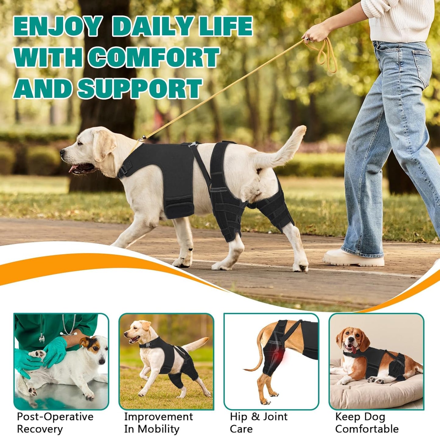 Dog Knee Brace Double Leg Support with Vest - Orthopedic Joint Stabilizer for ACL Tear, Arthritis, Patella Recovery - Adjustable Non-Slip Recovery Brace for Small Middle Large Dogs (Small)