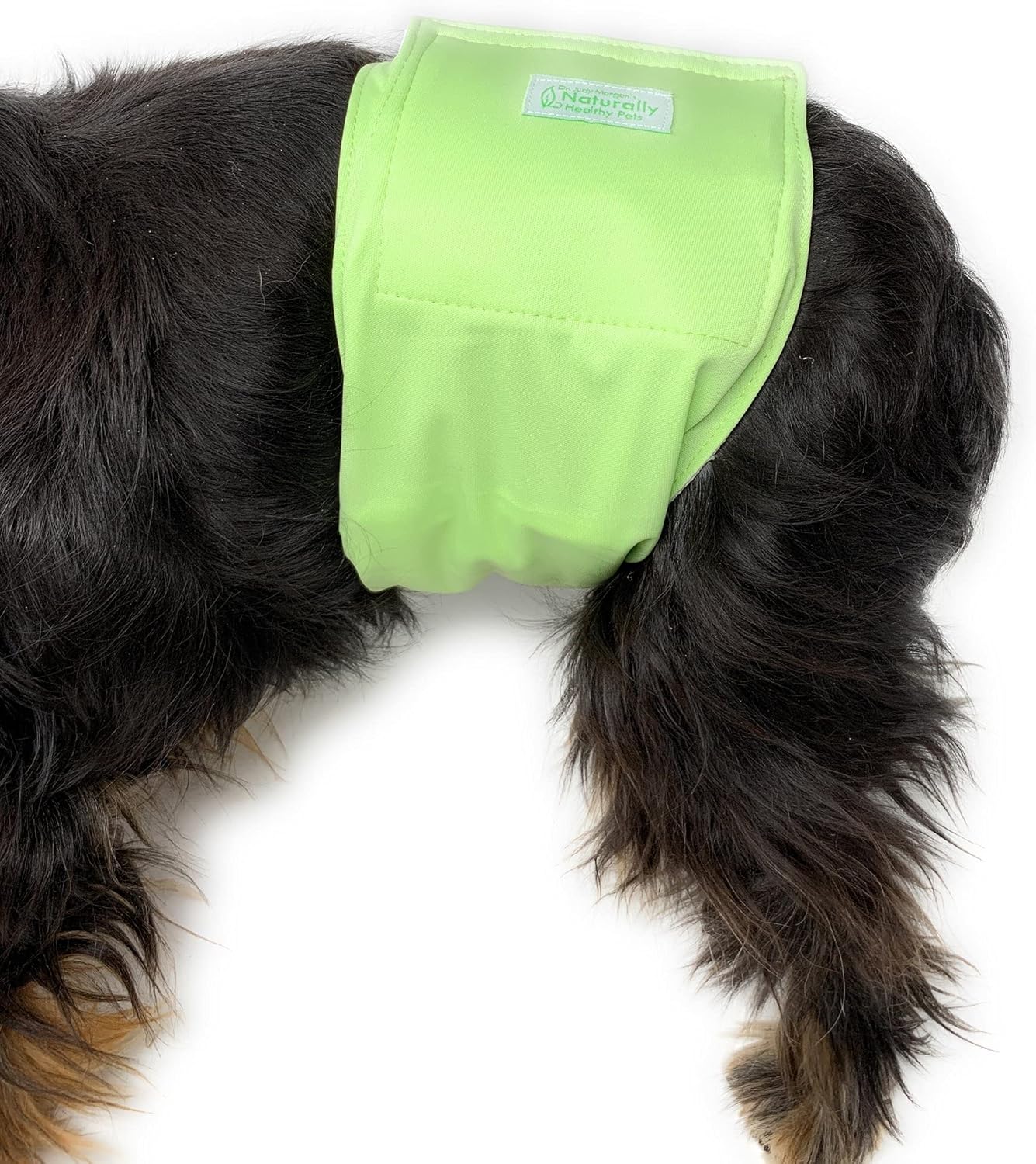 Dr. Judy Morgan's Naturally Healthy Pets Washable Male Dog Diaper Belly Band wrap Solid Colors (X-Large)