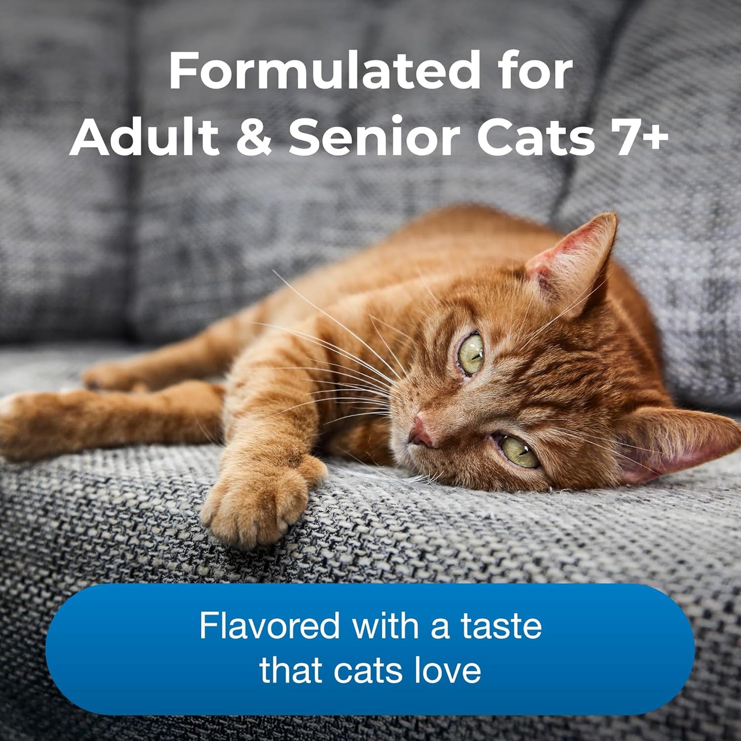 PetAg KMR Healthy Aging - 14 oz - Supports a Healthy Heart & Muscles with Protein for Adult/Senior Cats 7+ - Easy to Use