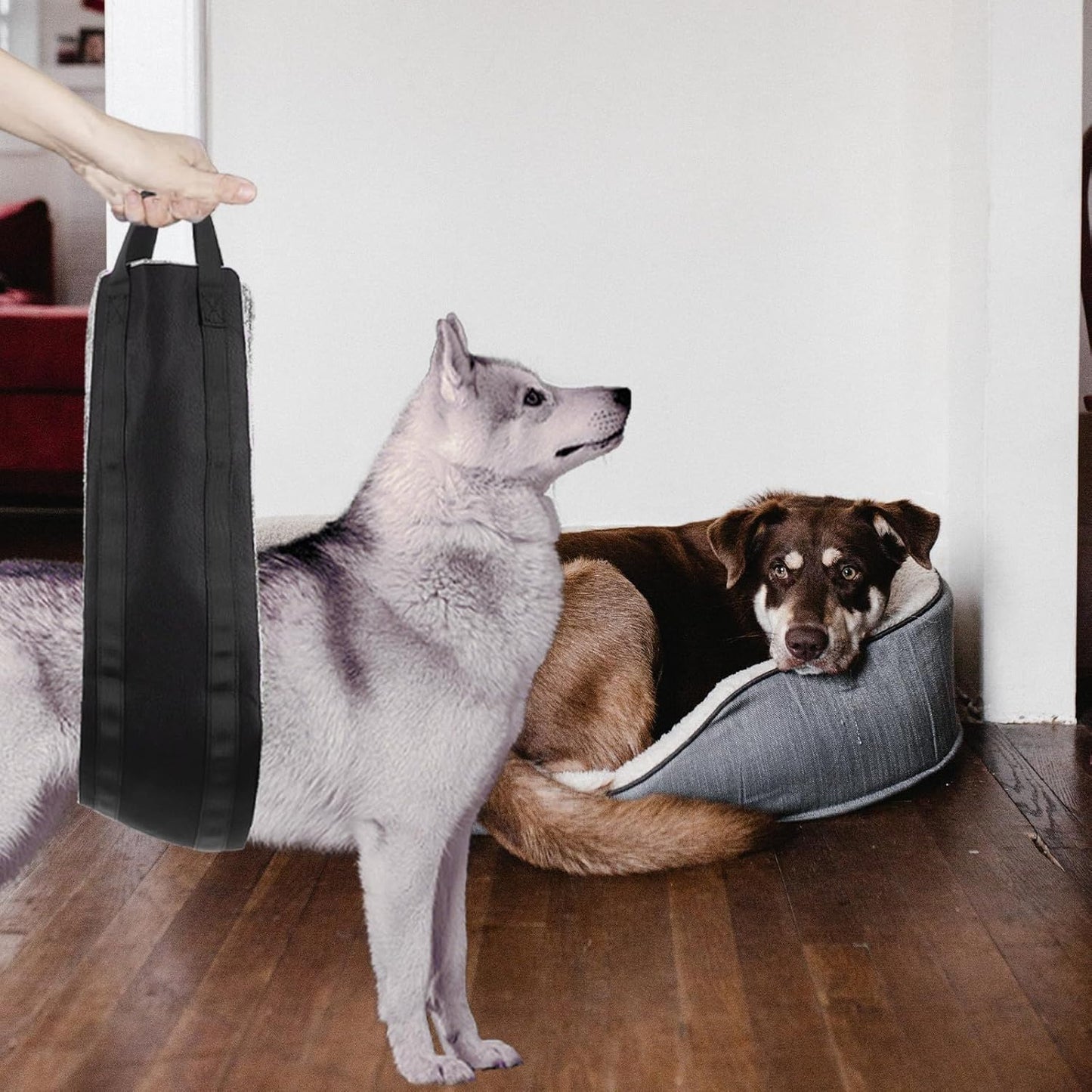 FAVOMOTO Dog Sling Harness for Injury, Portable Hip Support Pet Lift Strap with Comfortable Adjustable Design, Gray Rehabilitation Aid for Dogs and Cats