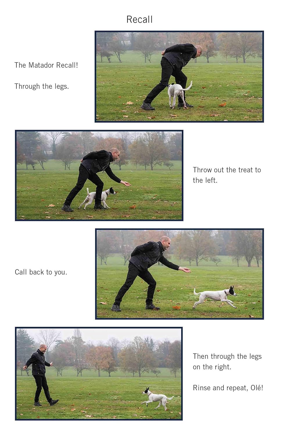 Easy Peasy Puppy Squeezy: Your Simple Step-by-Step Guide to Raising and Training a Happy Puppy