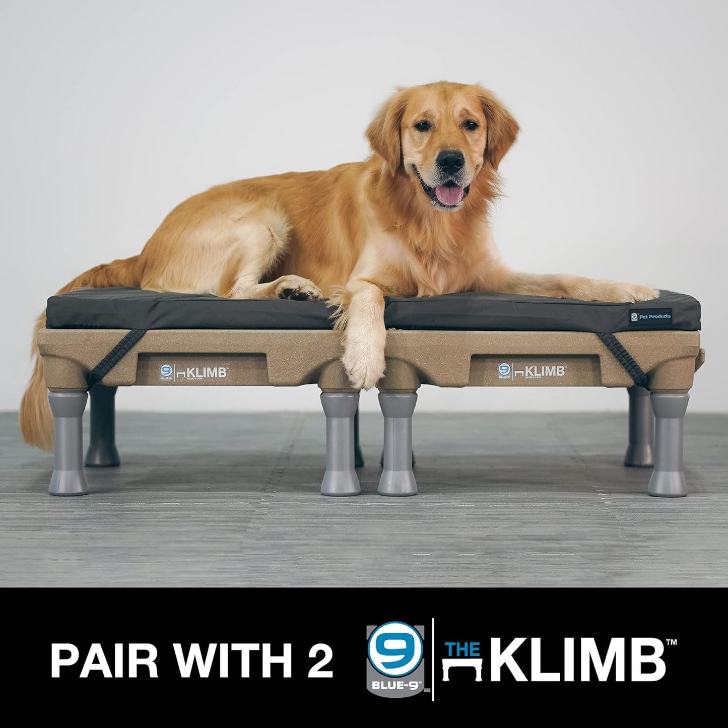 Blue-9 Pet Products Restore+ Double Dog Bed, Durable, Water Resistant, and Washable Design, 24” x 48”