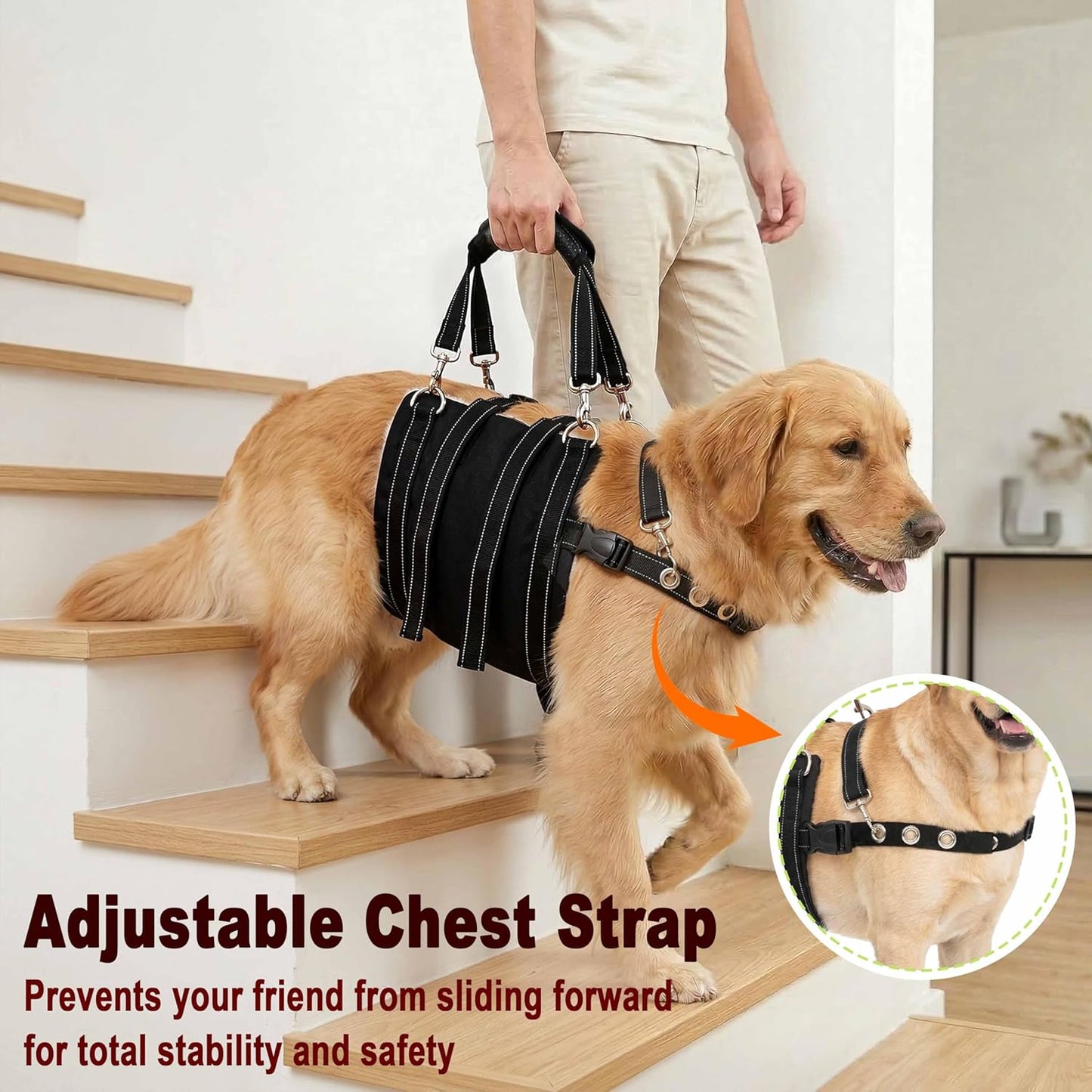 CWV Female Dog Sling for Back Legs, Dog Lift Harness, Magic Tape Dog Sling for Large Dogs Hind Leg Support, Medium, Female