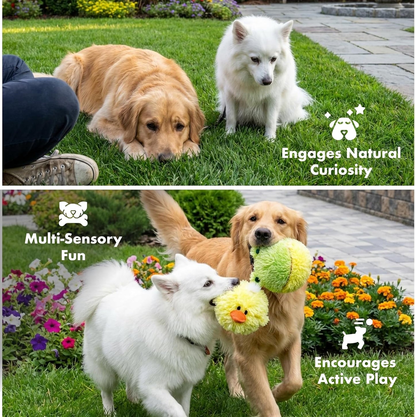 Pet Lou Chick and Frog EZ Squeaky Ball Dog Plush Toy, Twin Pack (4"), Durable Plush Dog Squeaker Toys, Stuffing-Free Pet Supplies for Small & Medium Dogs, Yellow