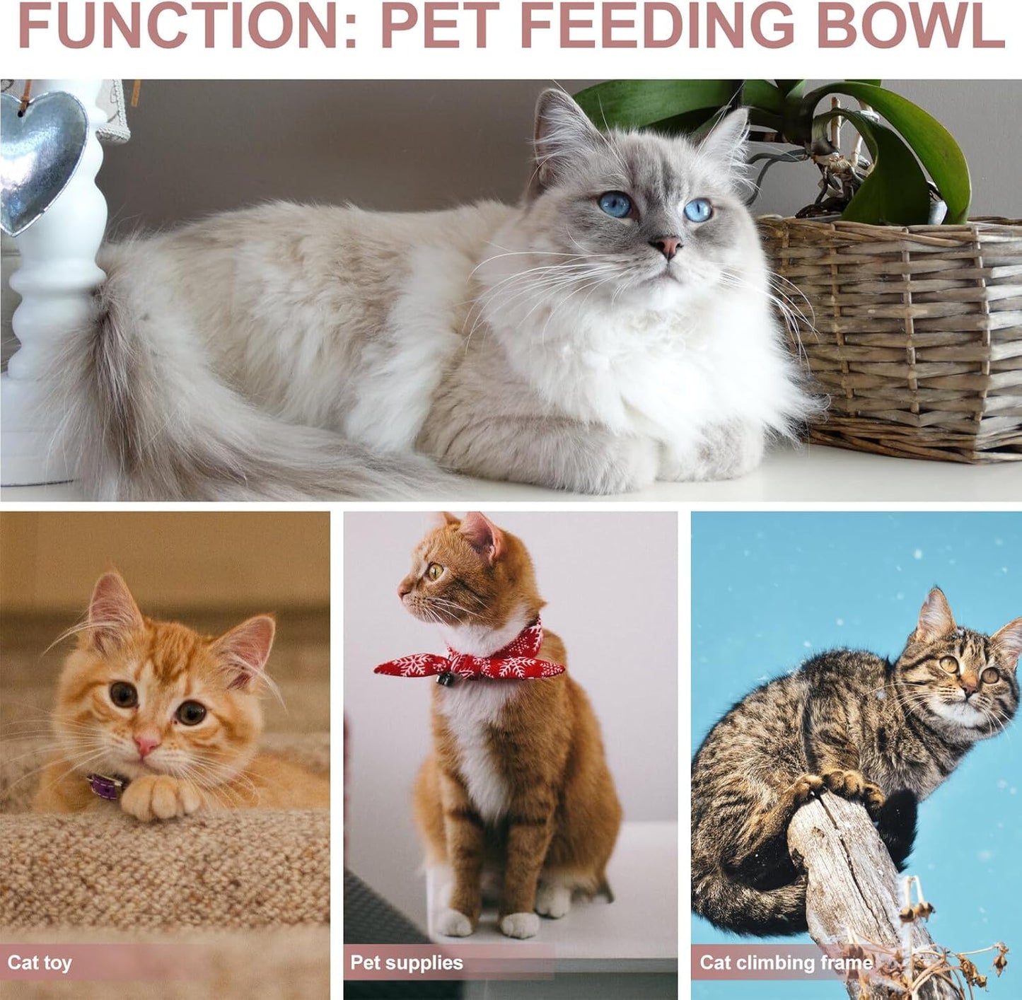 PRETYZOOM Ceramic Elevated Cat Bowl with Oak Wood Stand 600ml Pet Food and Drinking Bowl Neck Protection for Cats and Canines Indoor Feeding
