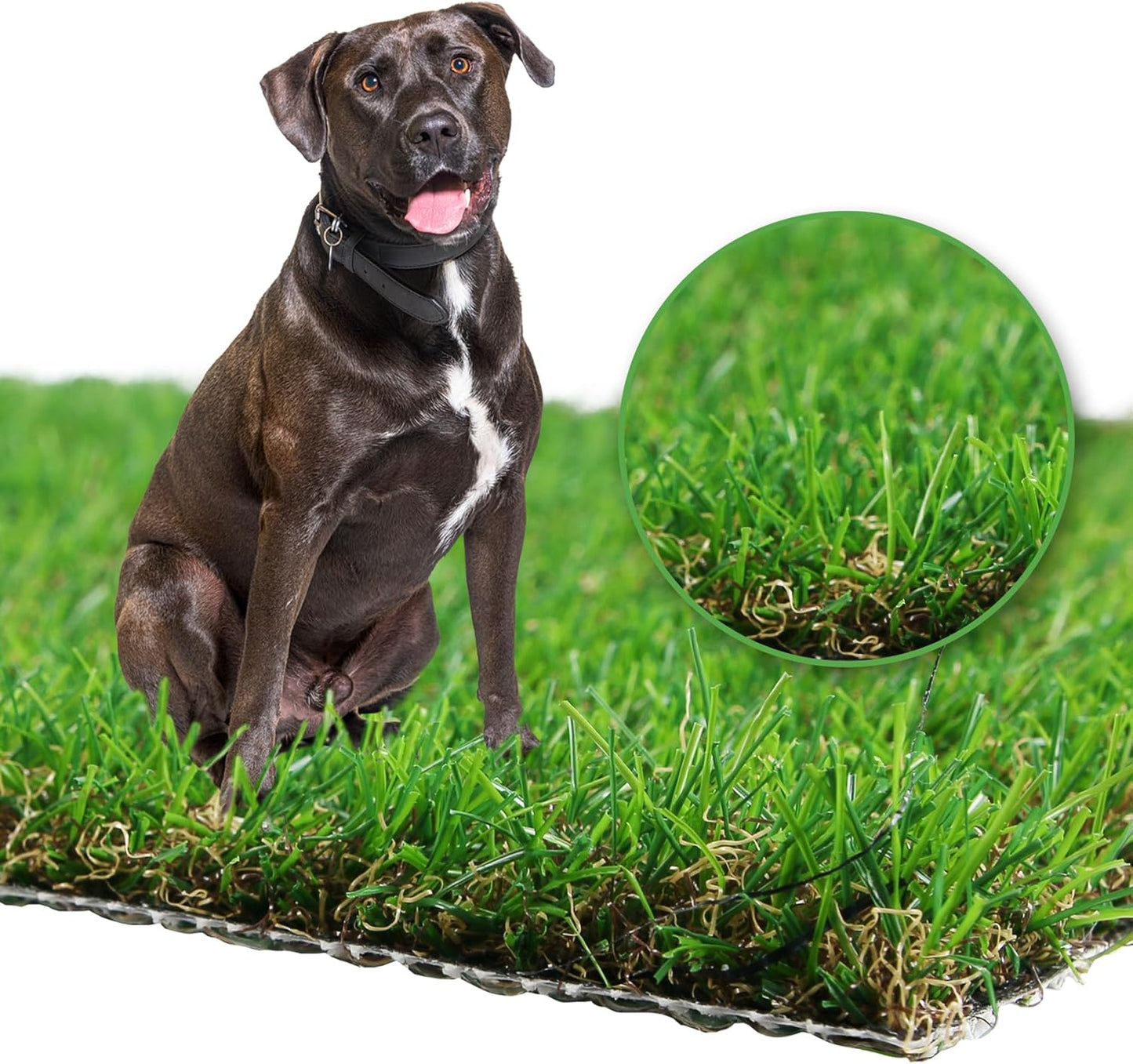 GLOBREEN Extra Large Artificial Grass for Dogs Potty Training, 5 FT X 7FT Realistic Fake Turf Pee Pad for Pets Outdoor Patio Balcony Use, Reusable Washable