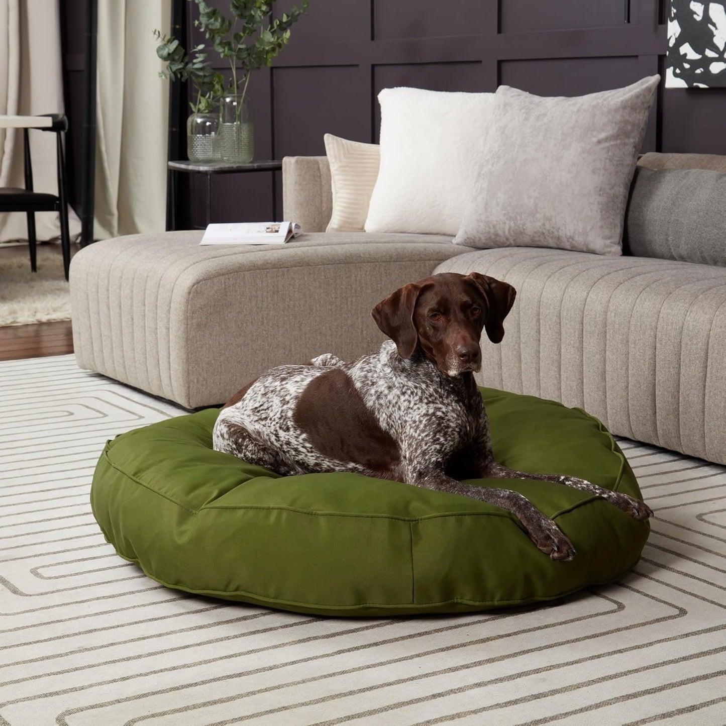 Gordie Round Indoor/Outdoor Pillow Style Dog Bed, Juniper, Large