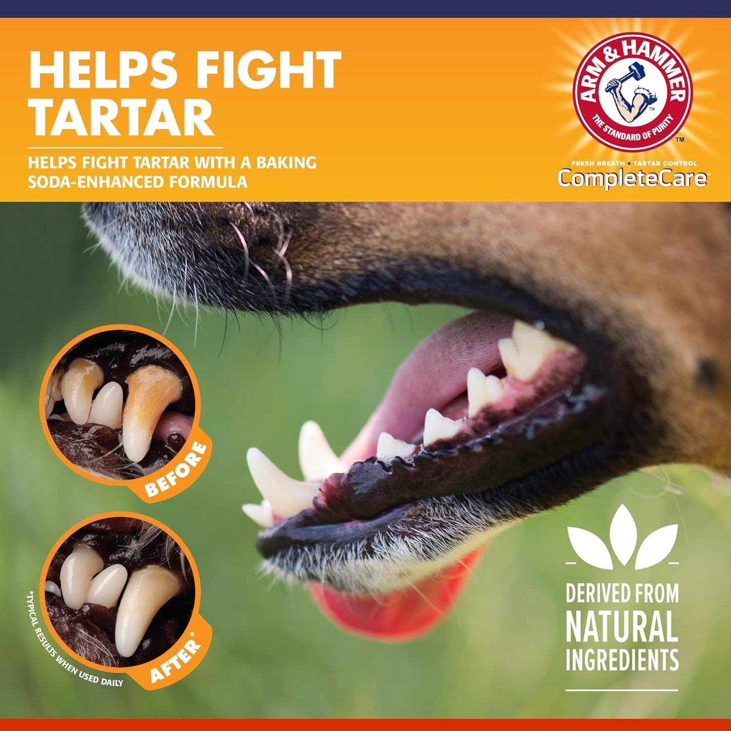Arm & Hammer Complete Care Dog Dental Kit with Enzymatic Dog Toothpaste, Toothbrush and Finger Brush, Baking Soda and Calcium Formula for Plaque Tartar Control, Chicken Flavor, 2.5 Oz