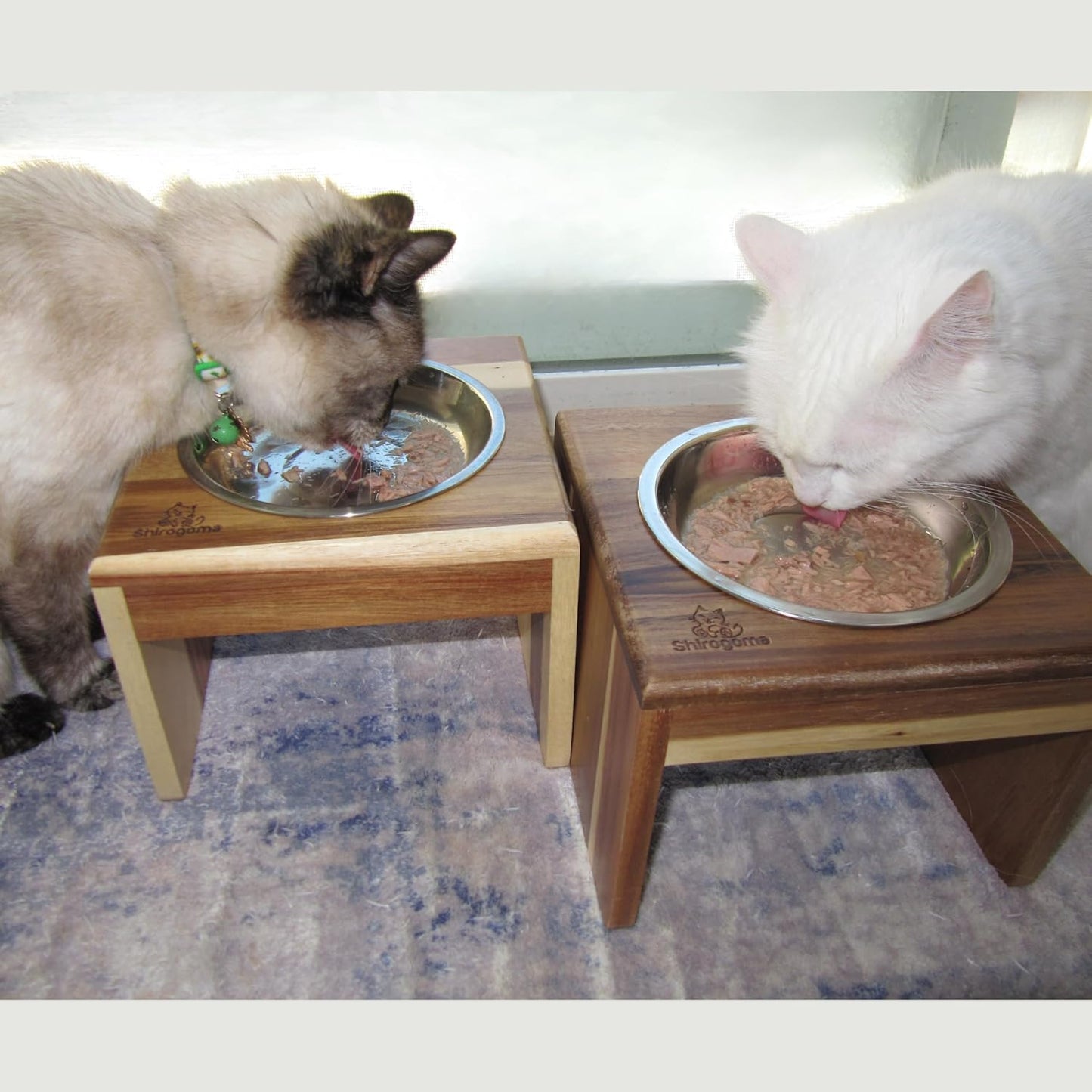 Raised Cat Bowls, 6.25 in wide, 6" Elevated Cat Feeding Stand (with 2 Stainless Steel Bowls: 12 oz/1.5 cup), Small Dogs, Rabbits, Anti-Vomit, Whisker friendly, 6 x 8 x 8 in, Acacia Wood