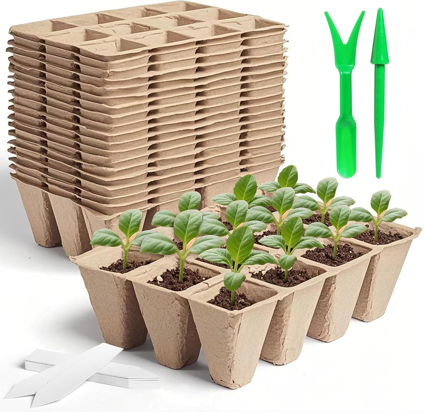 240 Cells Seed Thickened 12-Cell Peat Pots Seed Starter Kit - 20 Trays + Transplanting Tools & Plant Labels, Biodegradable Root-Friendly Seedling Cups for Vegetables Flowers Herbs Seed Starting